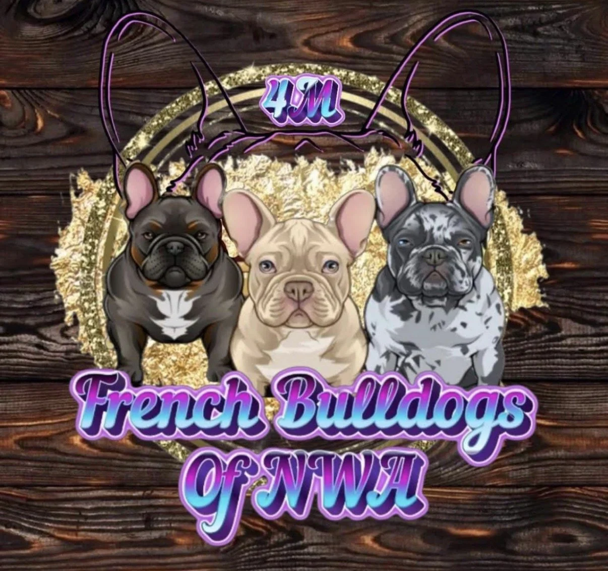 4M French Bulldogs
