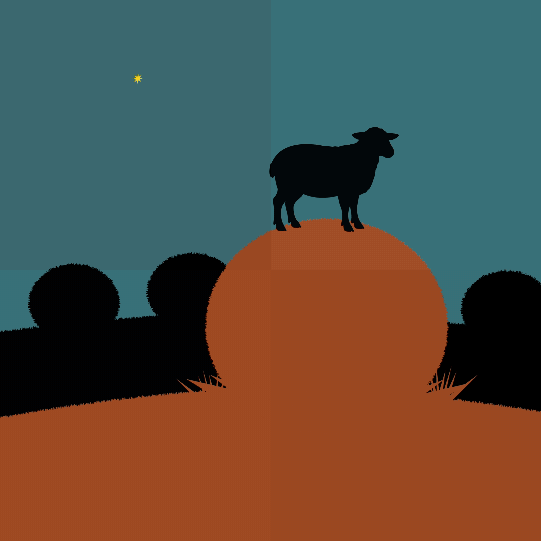 Black sheep conquers all