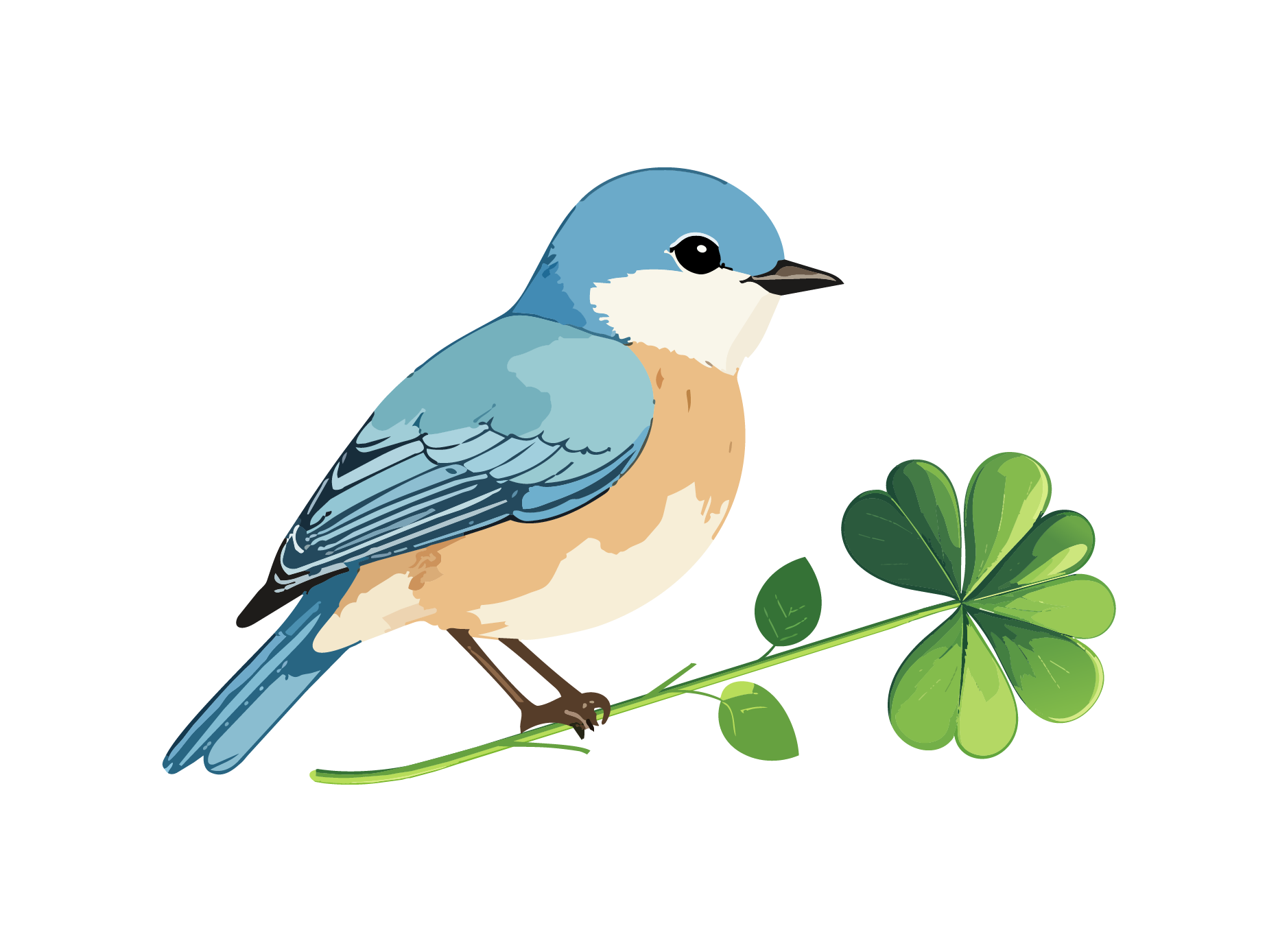 Illustration of a blue bird, possibly a blue jay, perched on a branch next to a green four-leaf clover, with a plain background.