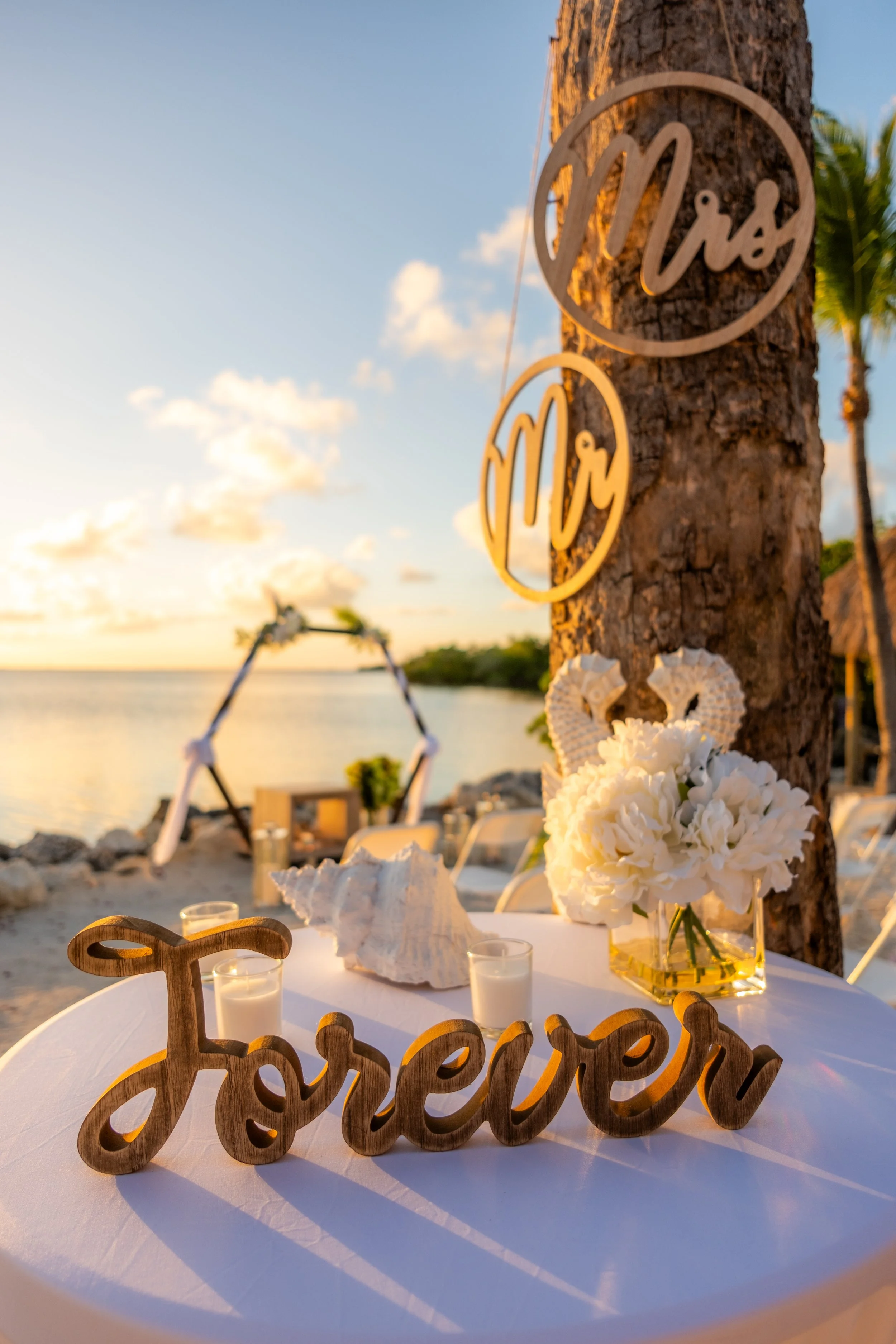 Wedding & Ceremony Photography