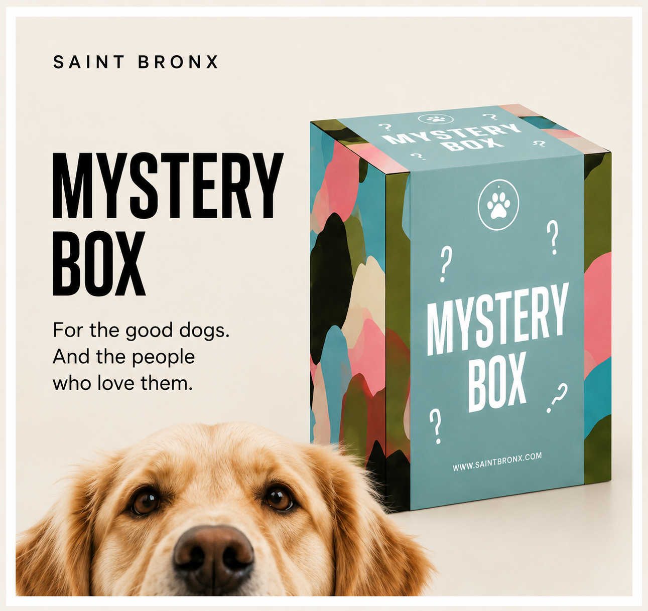 SAINT BRONX - THE STANDARD [MYSTERY BOX- PUP]