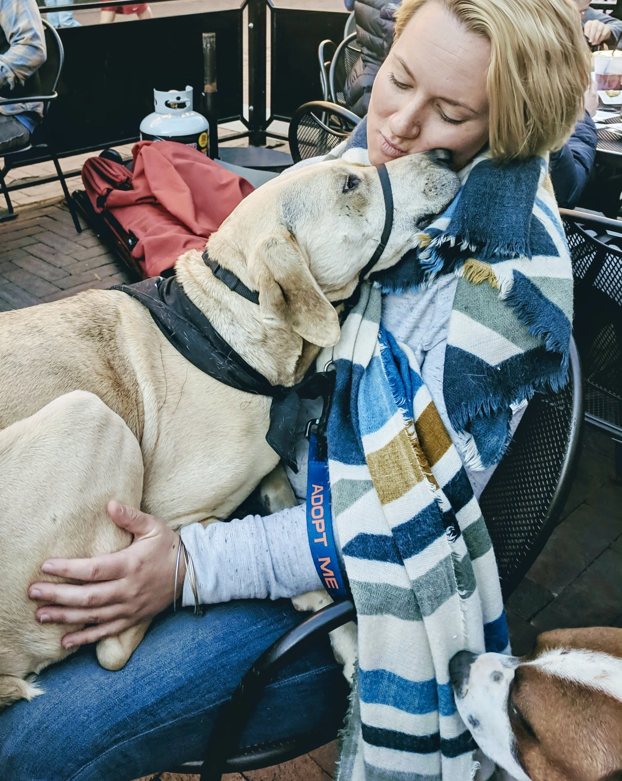 A woman with blond hair is hugging and kissing a catahoula dog in a crowded indoor setting, with seats and other people visible in the background.