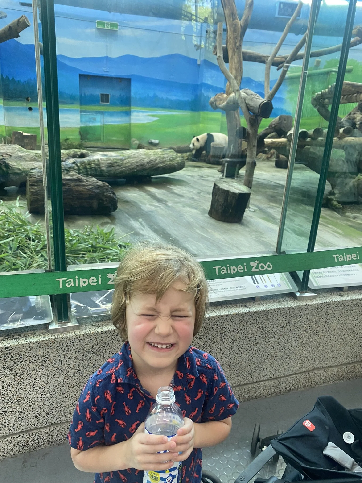 A child standing in front of the panda enclosure at Taipei Zoo.