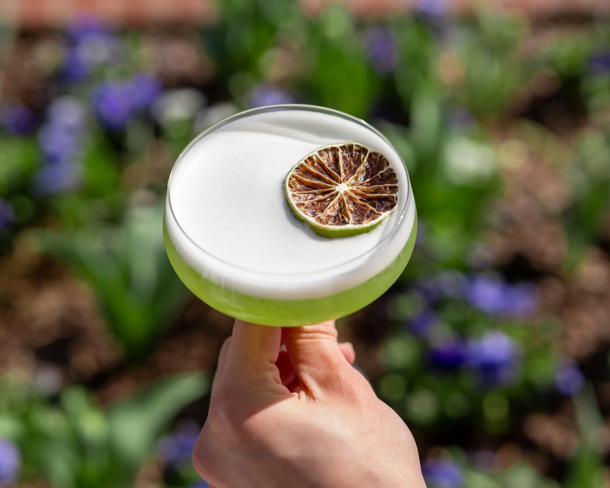 A hand holding a wine glass filled with a beverage topped with a dried citrus slice, in an outdoor garden setting.