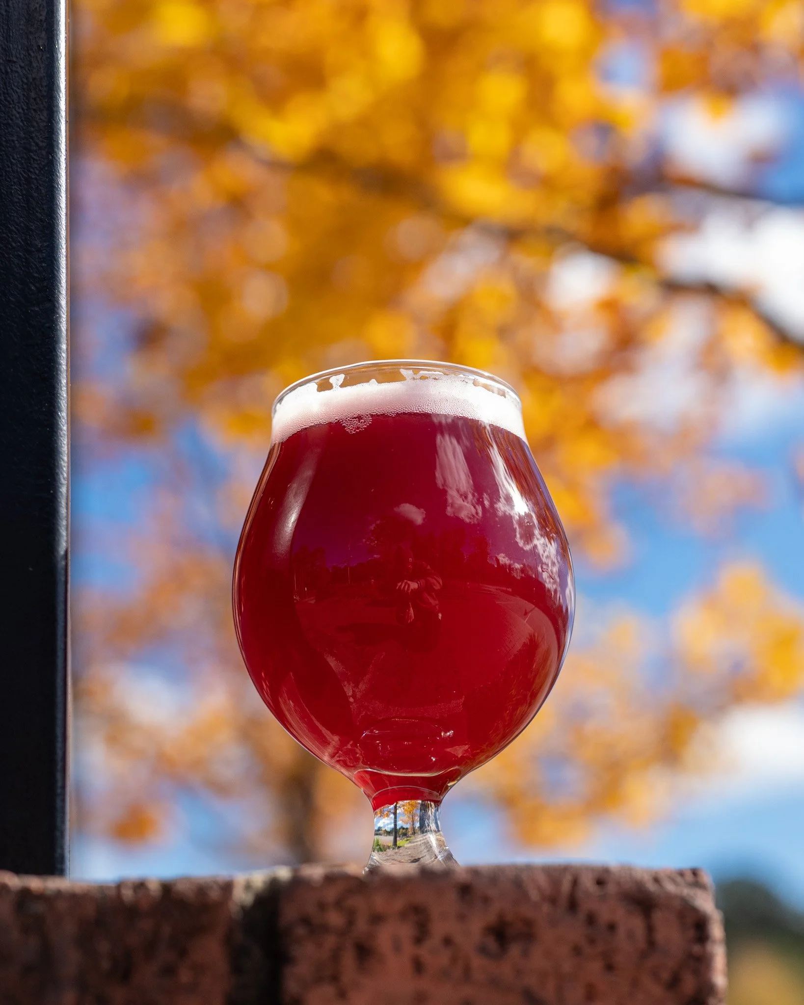 A glass of dark red beer on a brick surface outdoors with blurred autumn tree background.