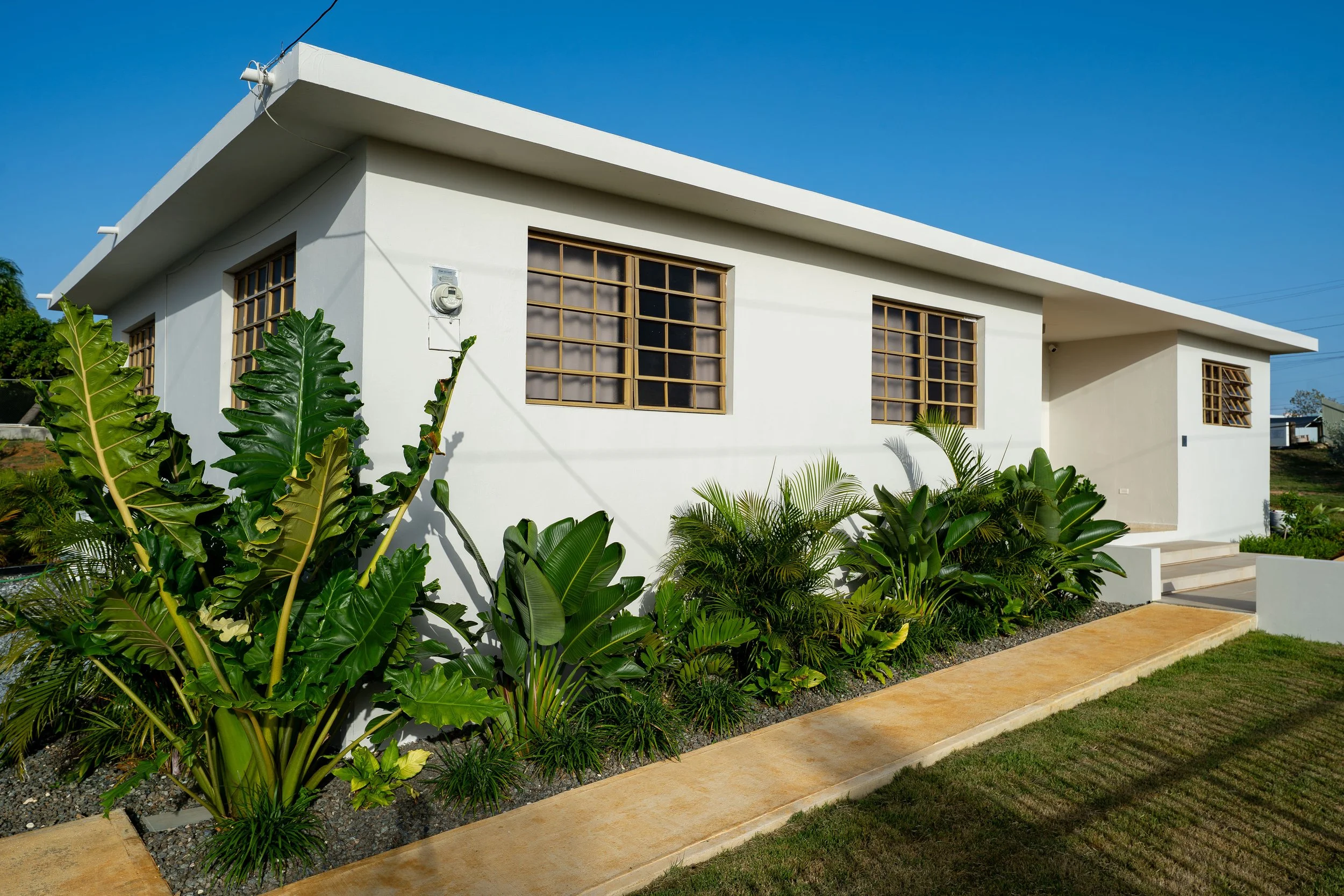 Front yard