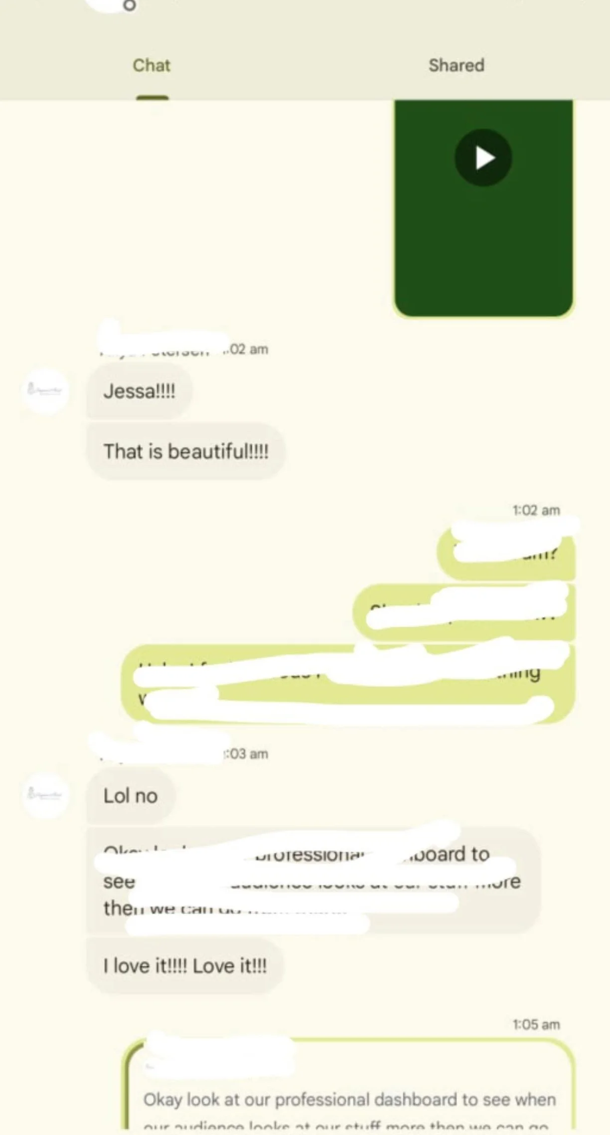 WhatsApp chat conversation with multiple messages, including one with a green video icon, and some text about a professional dashboard.