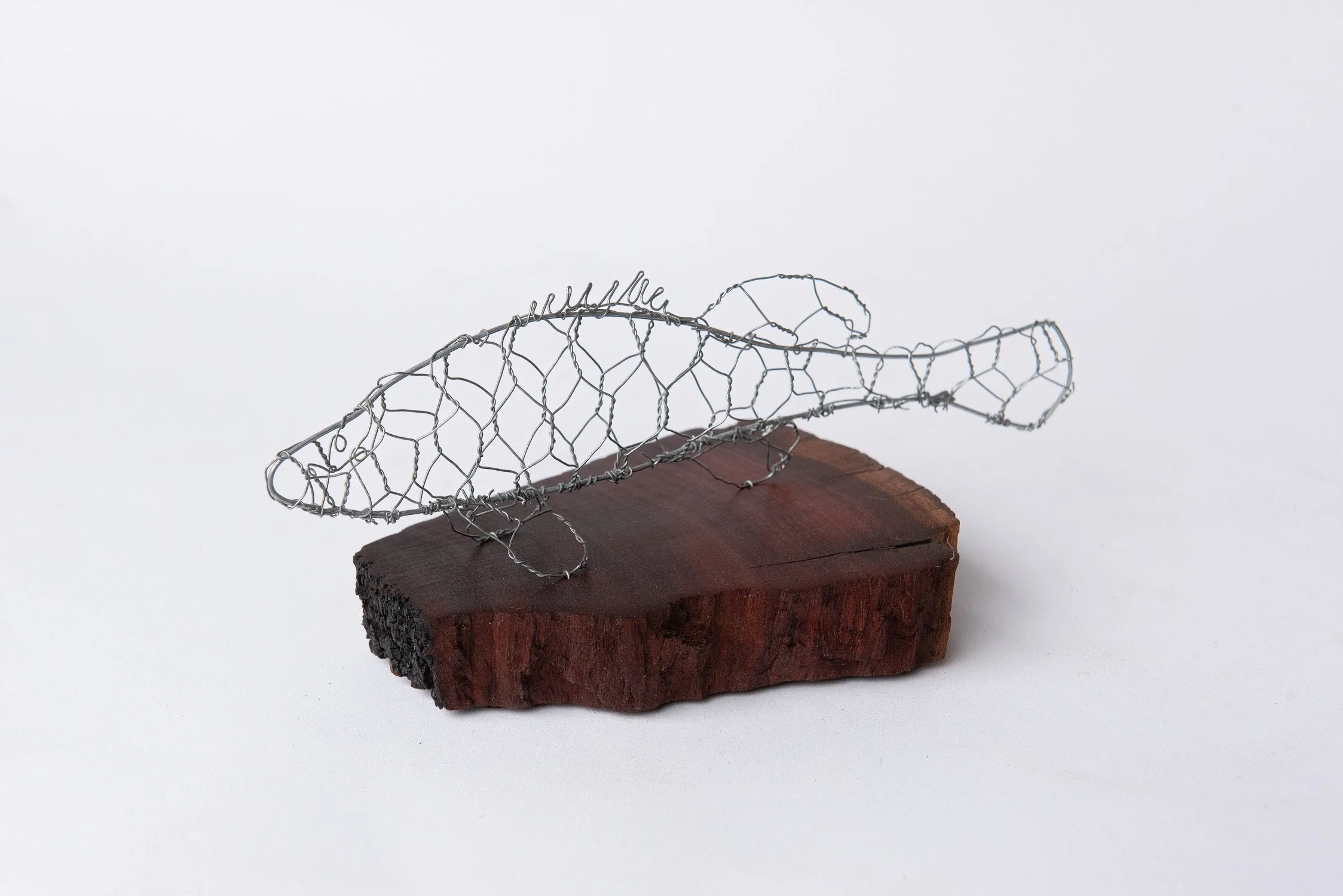 wire-studio-julian-guy-sculpture-art-mornington-australia--3.jpg