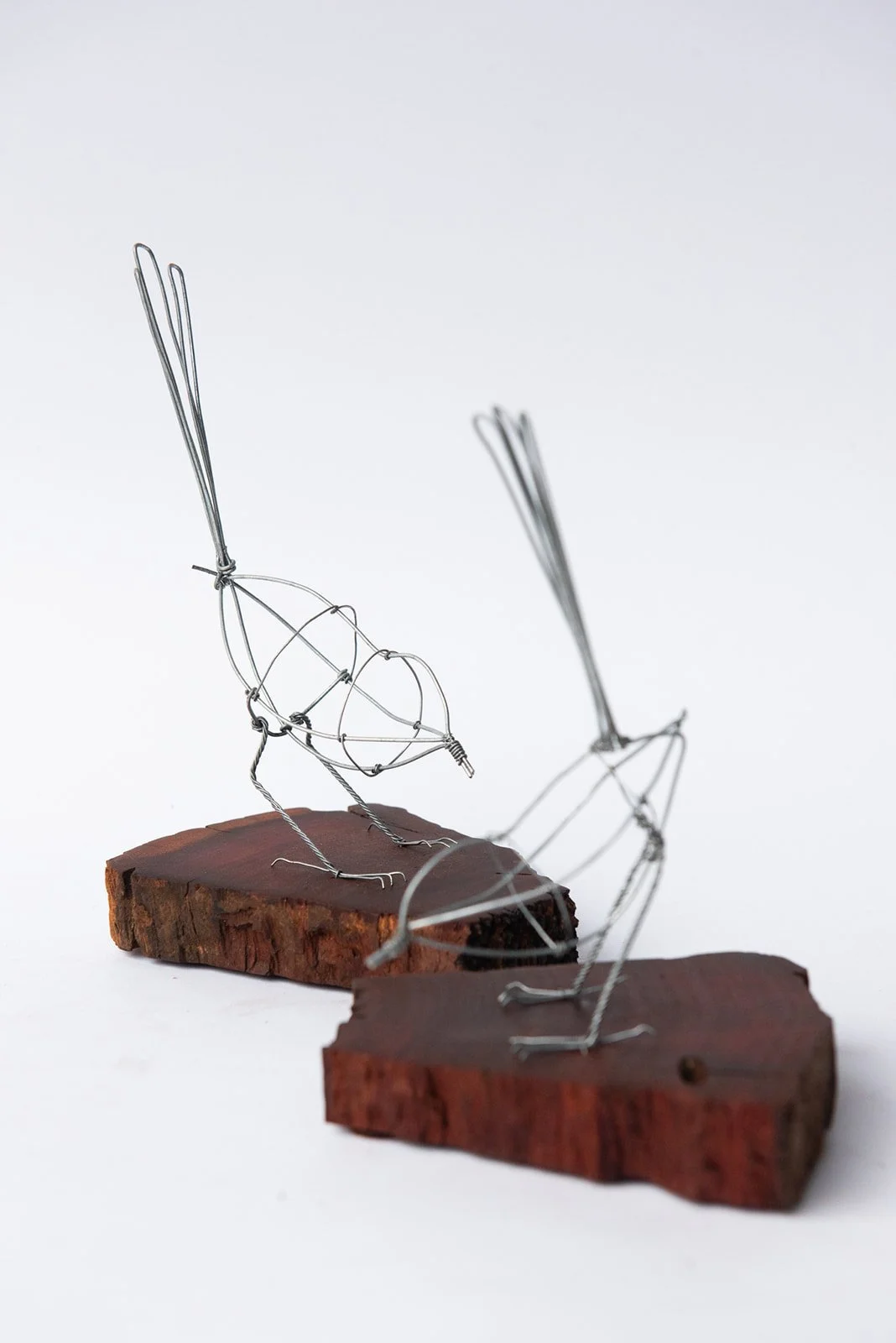 Two blue wren minimal wire art sculptures by The Wire Studio on the Mornington Peninsula, one burry in the foreground