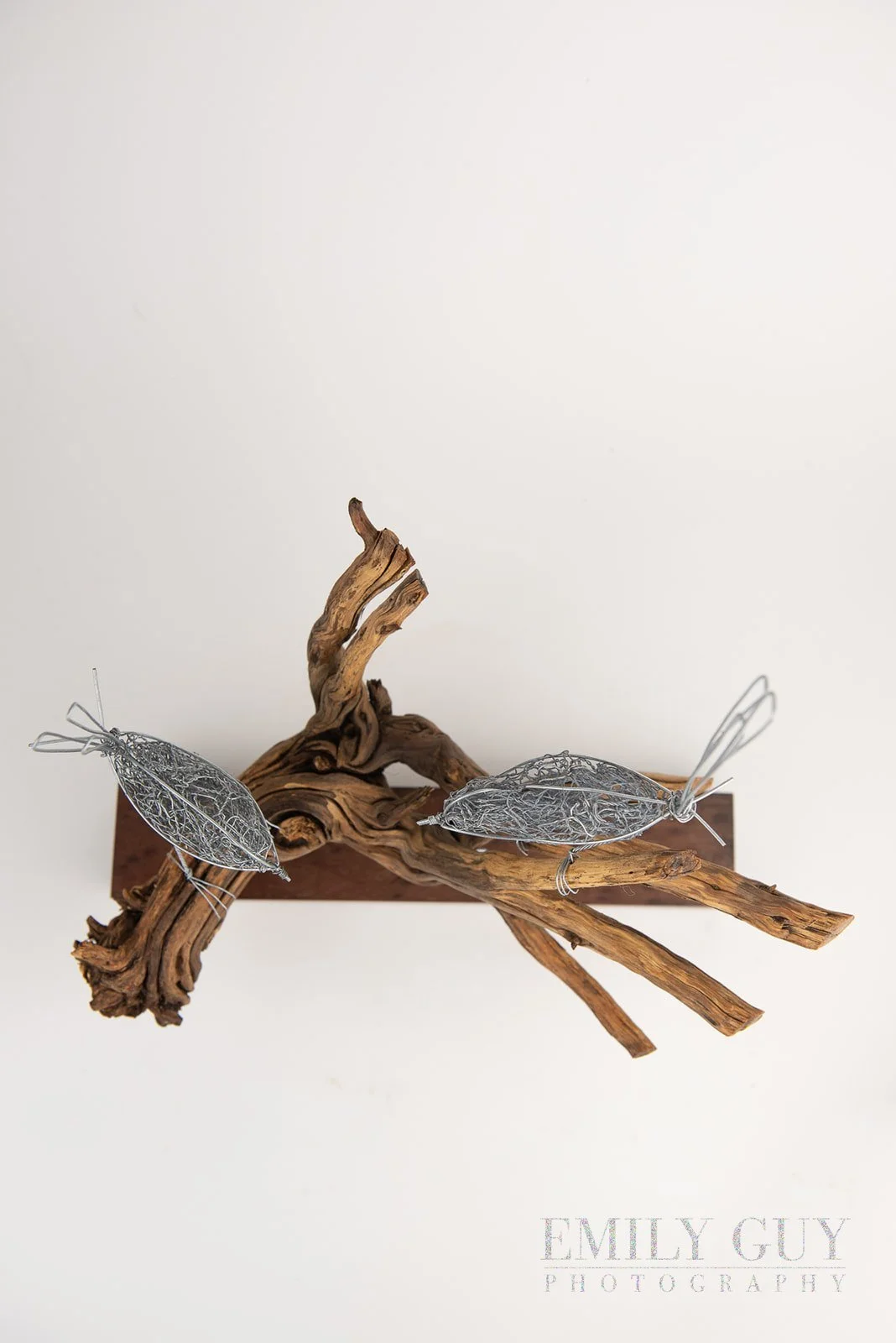 wire-studio-sculpture-art-mornington-peninsula-3110_websize.jpg
