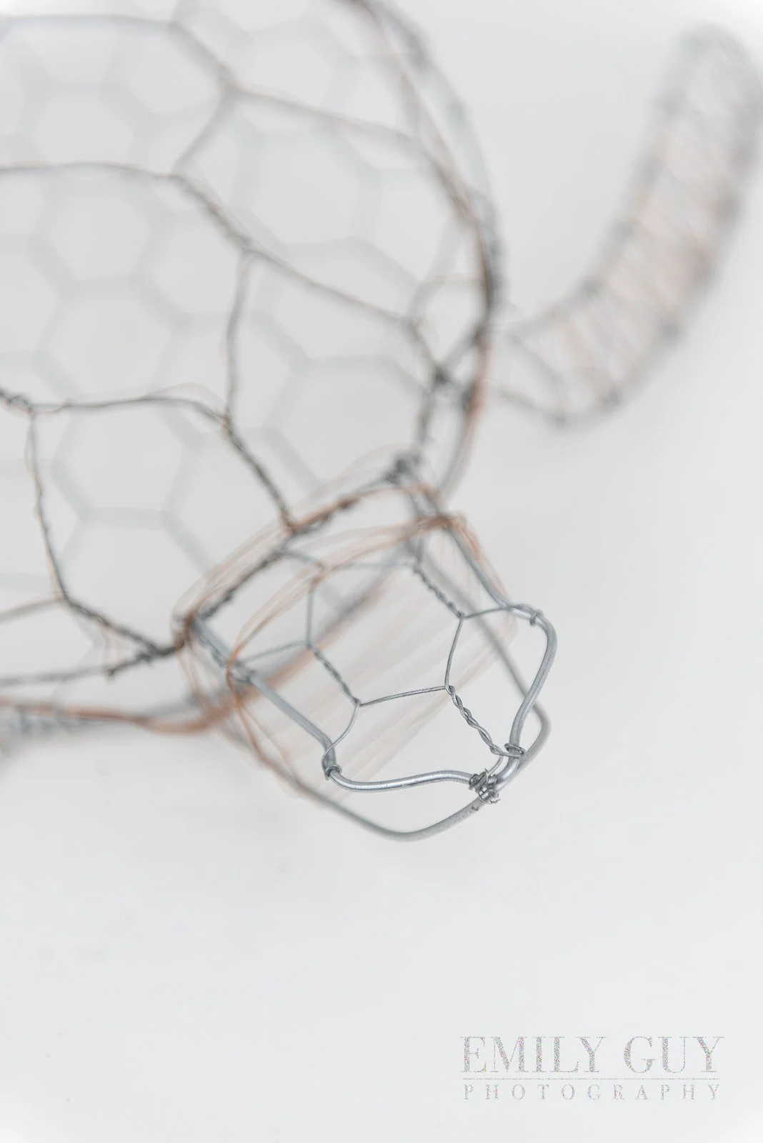 wire-studio-sculpture-nature-3442_websize.jpg