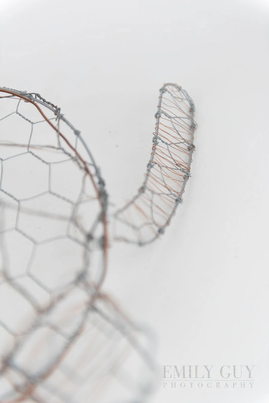 wire-studio-sculpture-nature-3444_websize.jpg