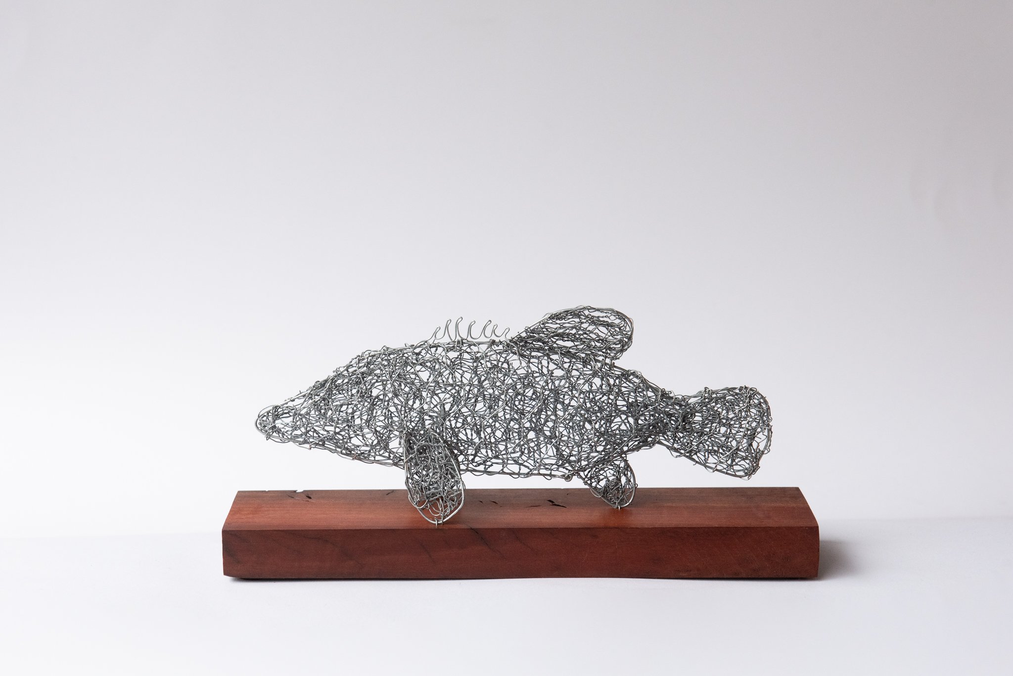 Murray Cod wire sculpture art created on the Mornington Peninsula by sculptor Julian Guy