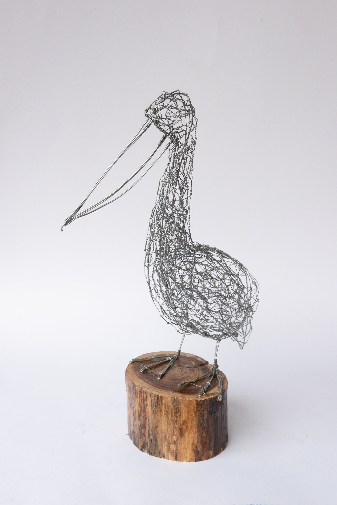 "The Pelican"