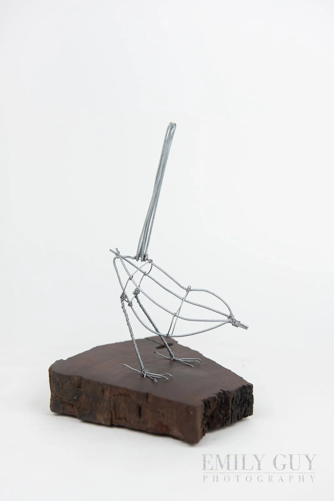 wire-studio-sculpture-nature-3358_websize.jpg