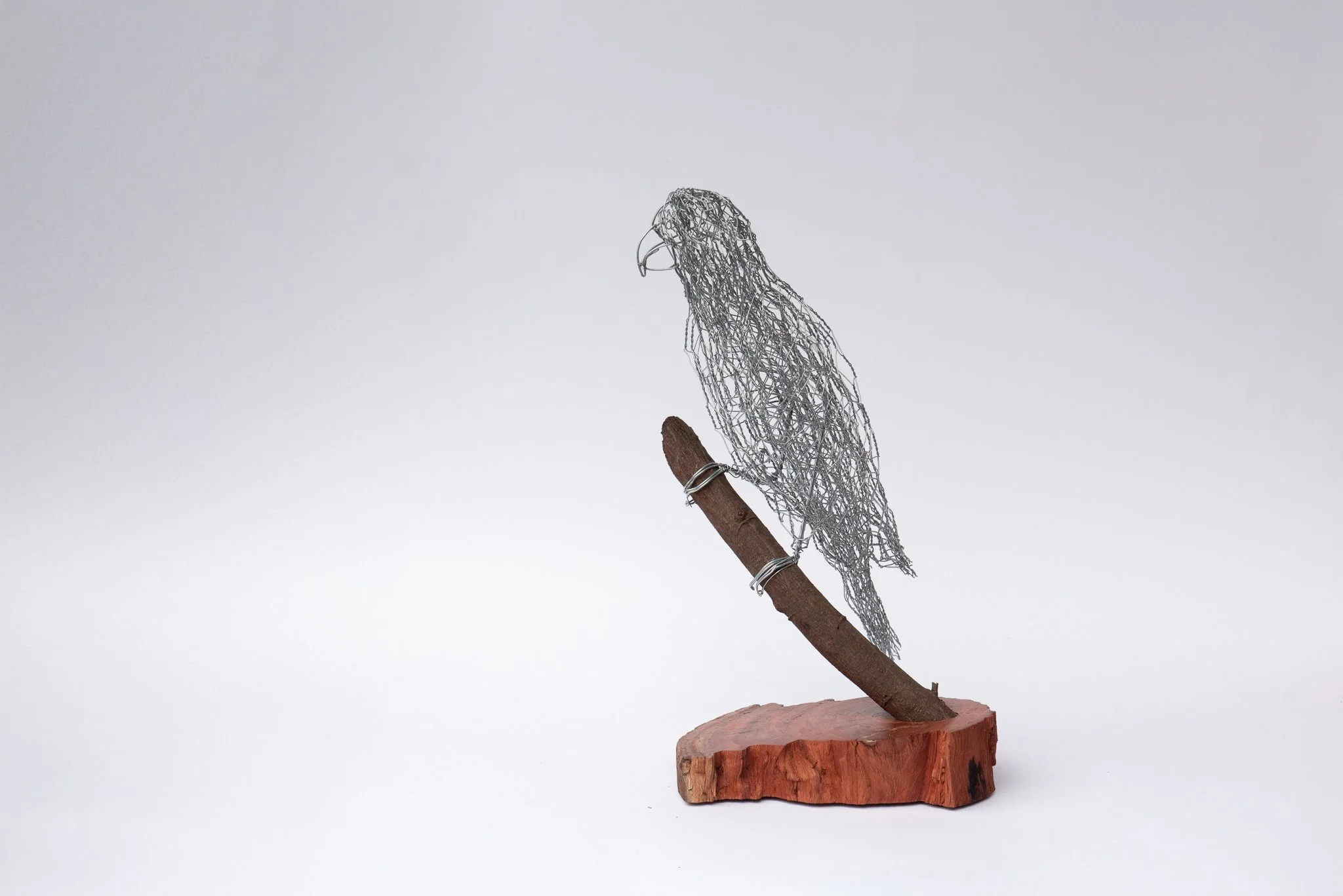 Australian lorikeet sculpture art created from wire