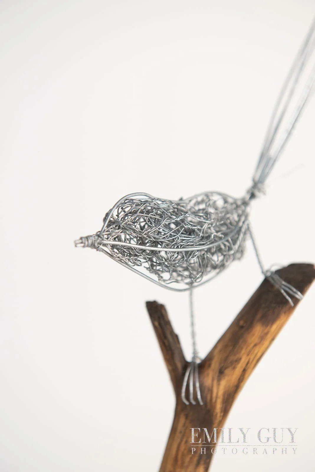 wire-studio-sculpture-nature-3067_websize.jpg