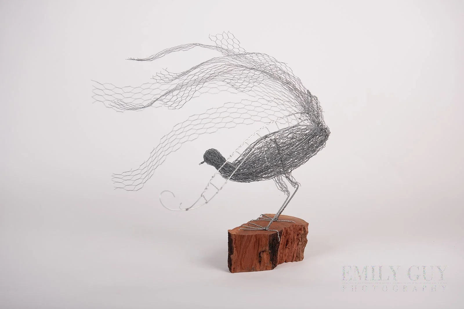 wire-studio-sculpture-nature-3430_websize.jpg