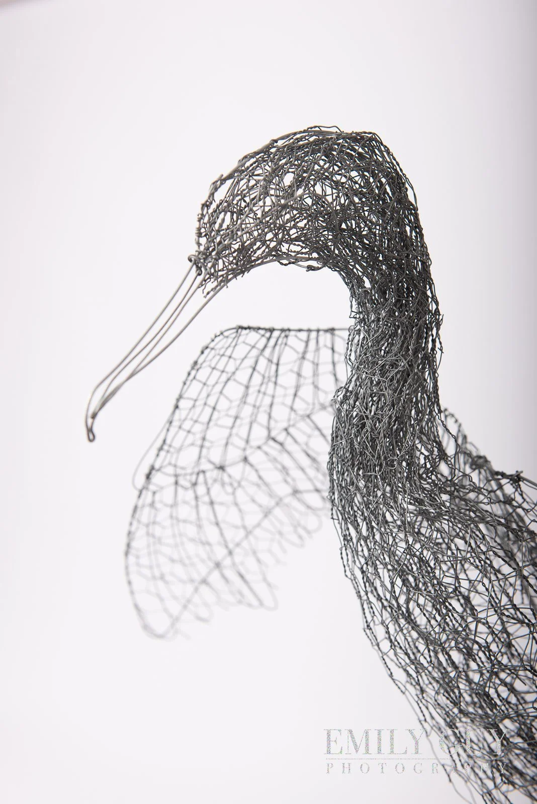 wire-studio-sculpture-nature-3280_websize.jpg