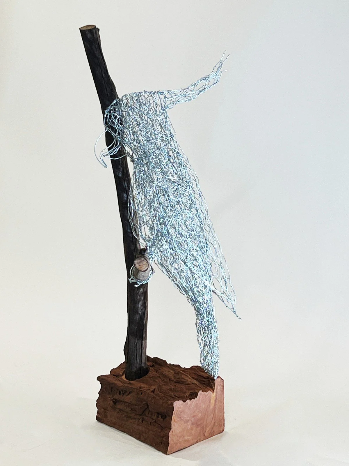 "Sulphur-Crested Cockatoo" 2026 
Wire and refurbished Australian redgum