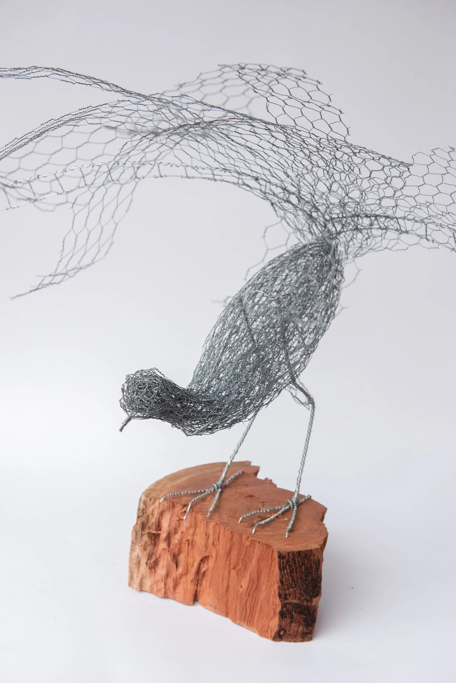 wire-studio-julian-guy-sculpture-art-mornington-australia-1972.jpg