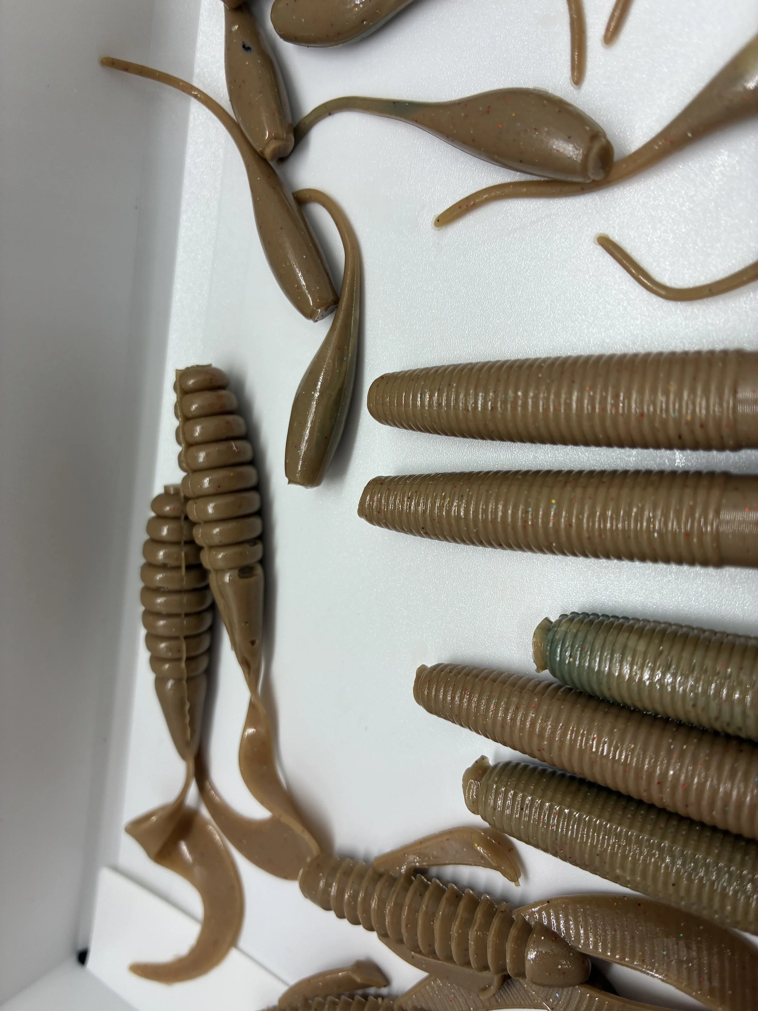 IMG_0124.jpeg