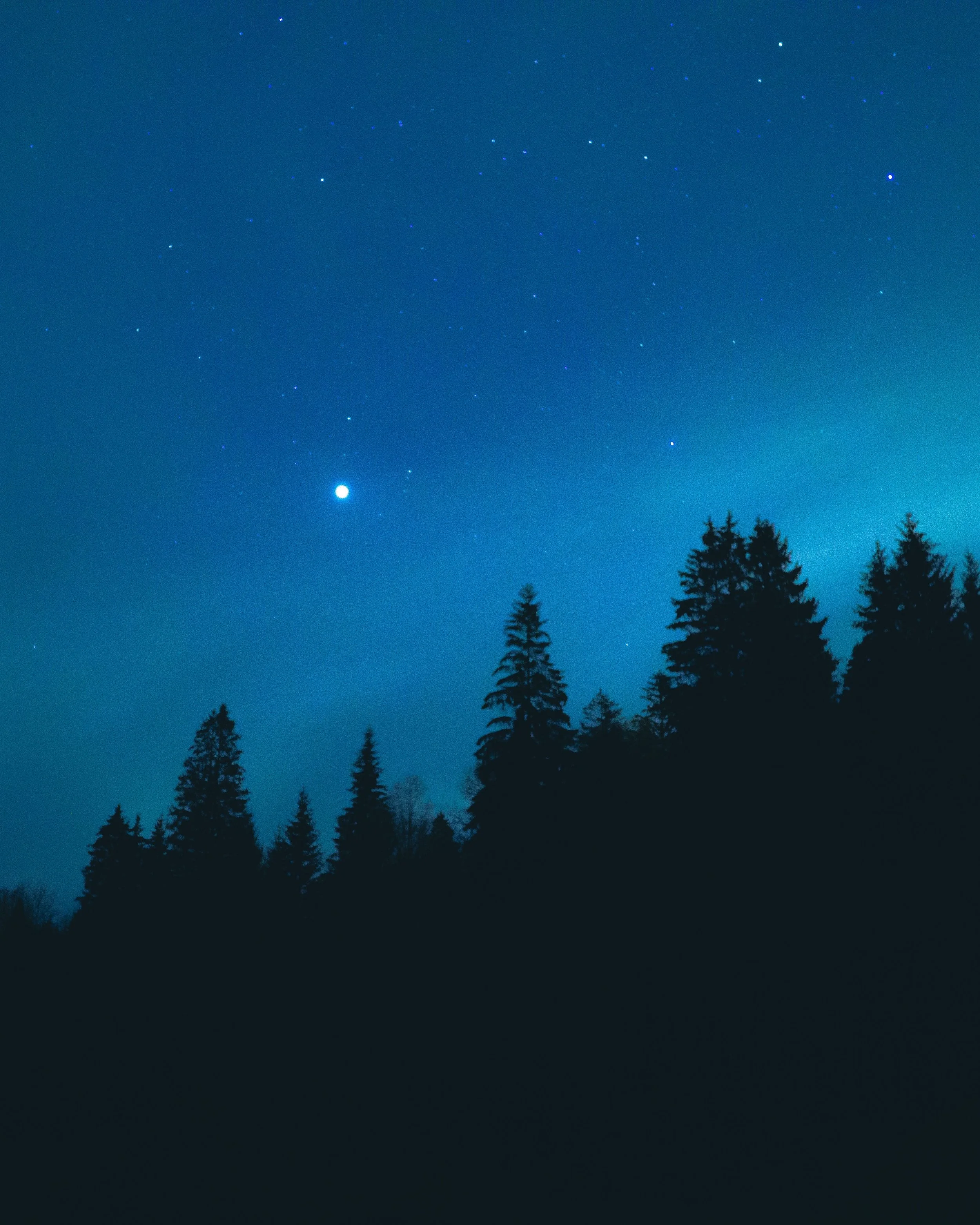 Walking In The Dark