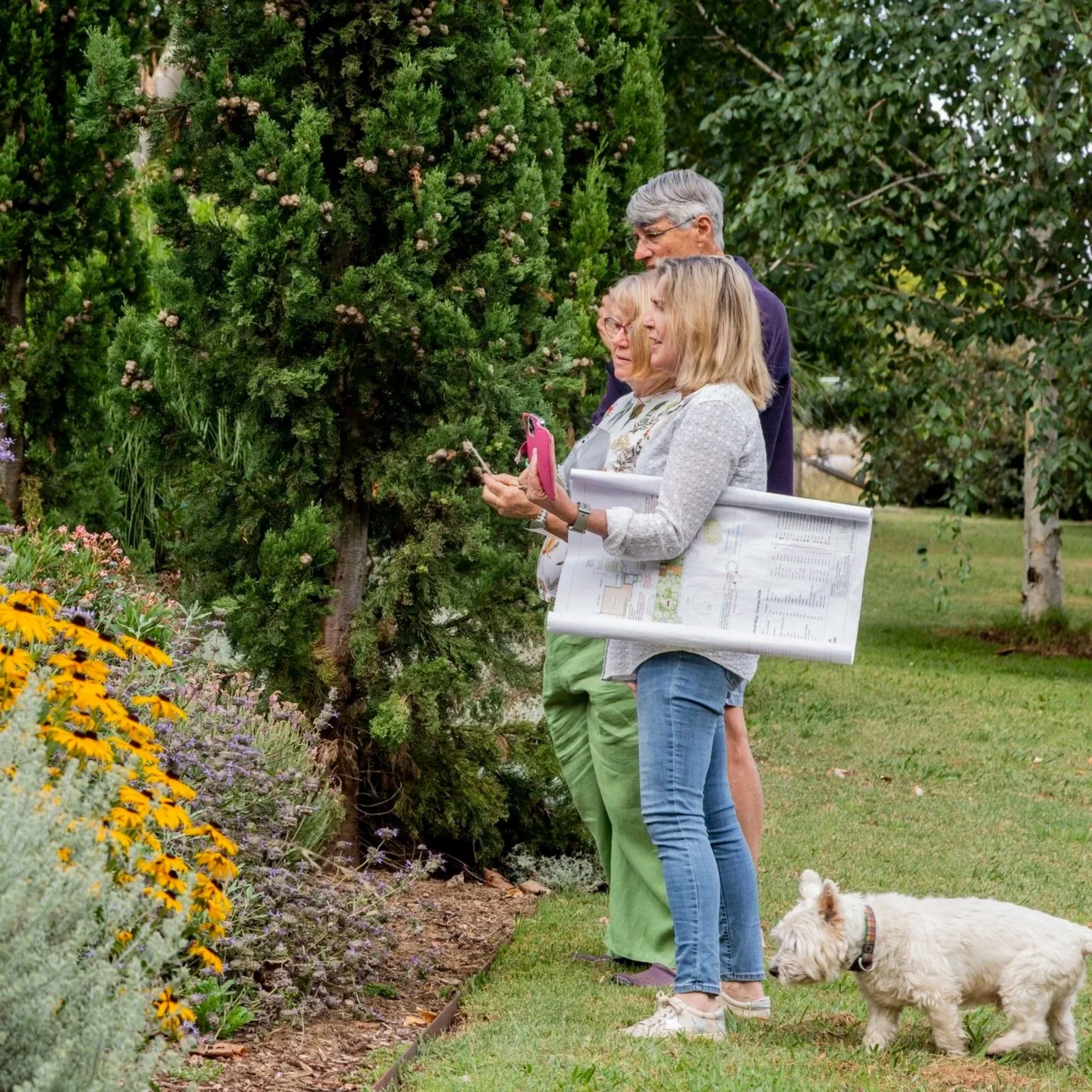 Three adults and a dog in a garden examining flowering plants and shrubs.