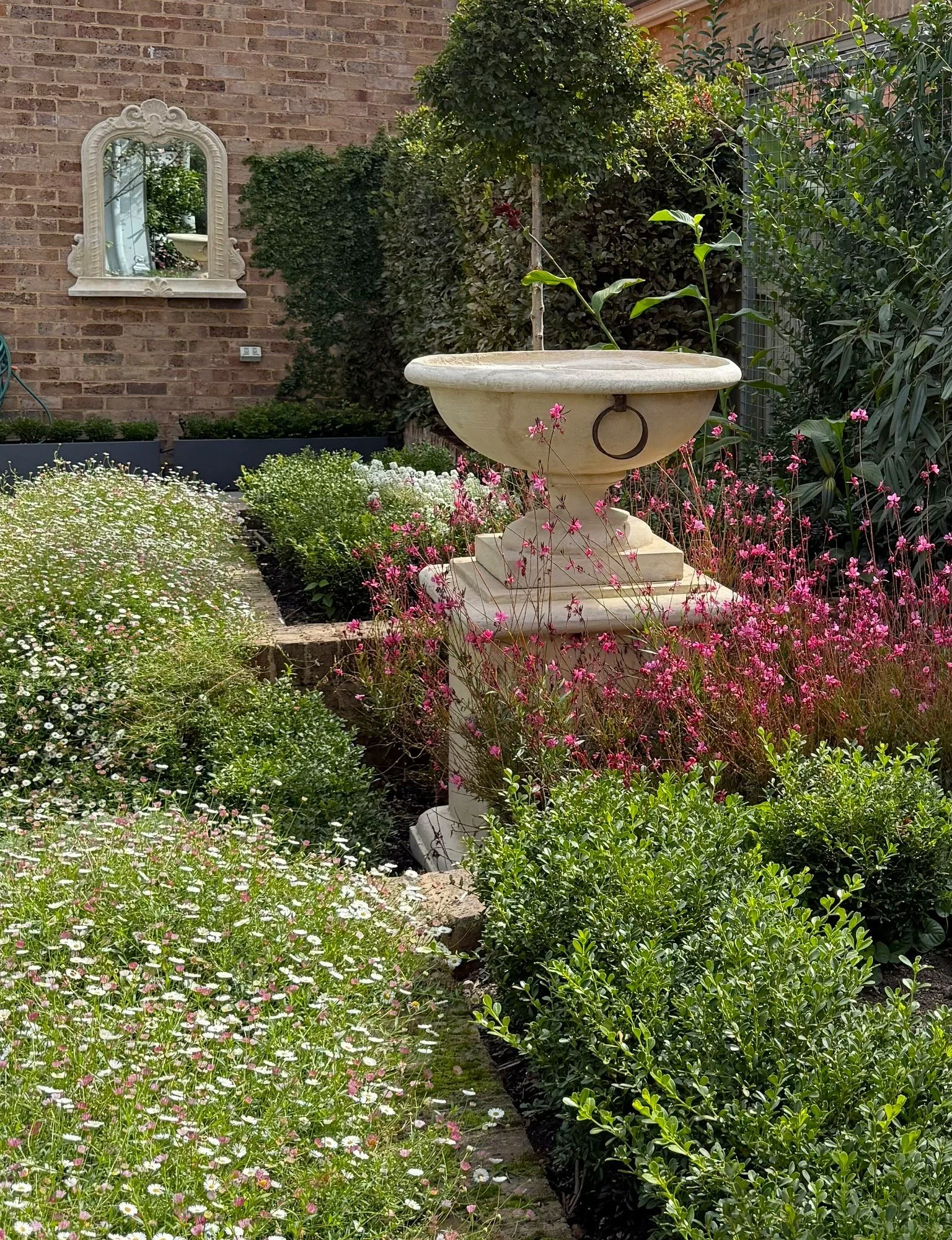 Modern Cottage Garden
