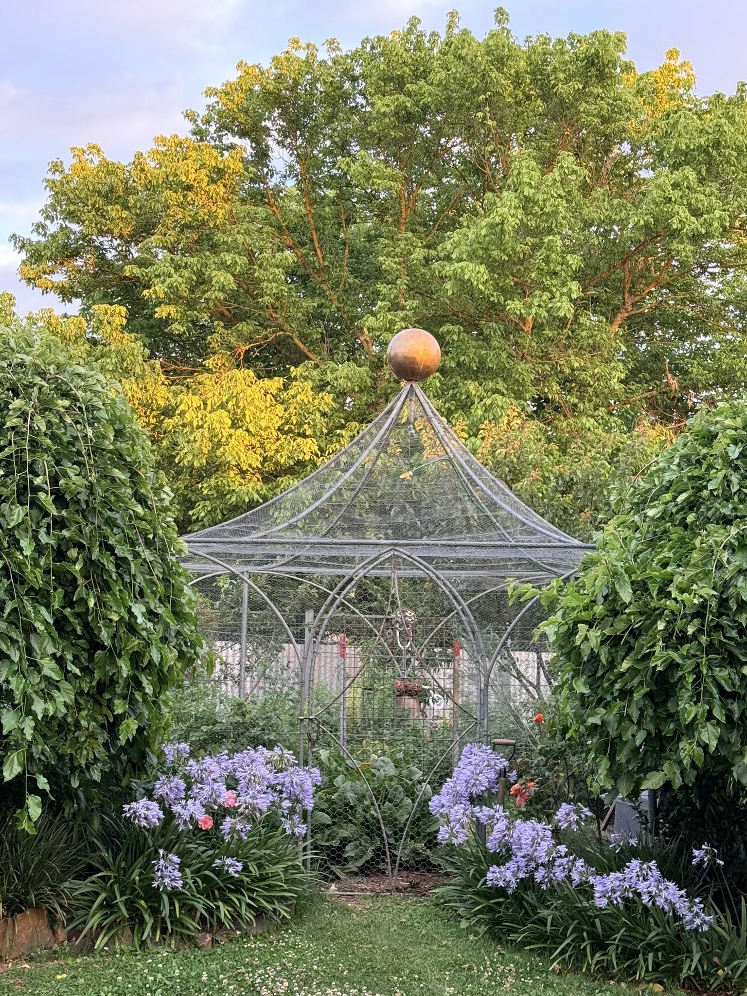 A garden scene with a metal greenhouse structure surrounded by lush green plants, purple flowers, and trees in the background.
