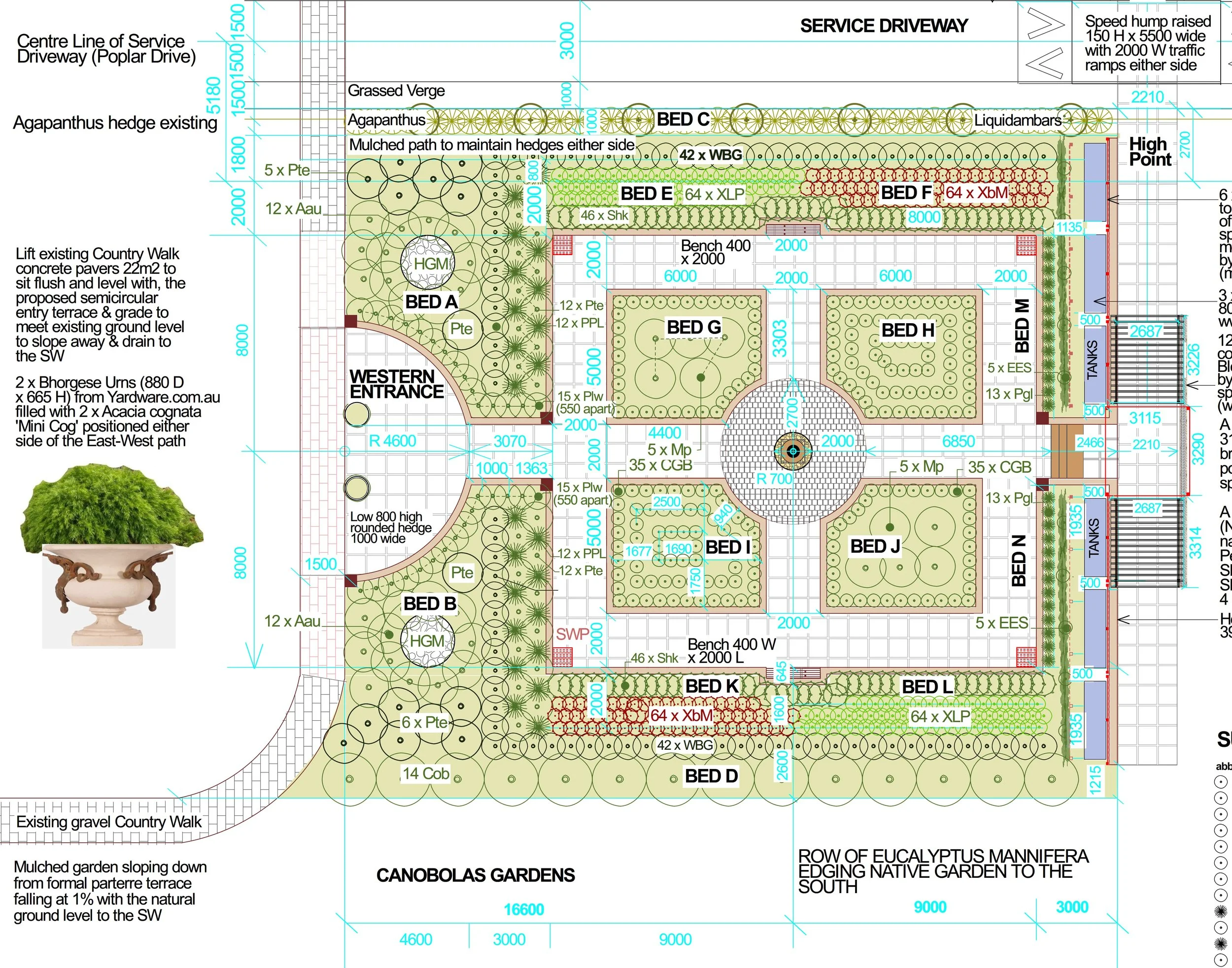 OBG Master Plan for webite cropped.jpg