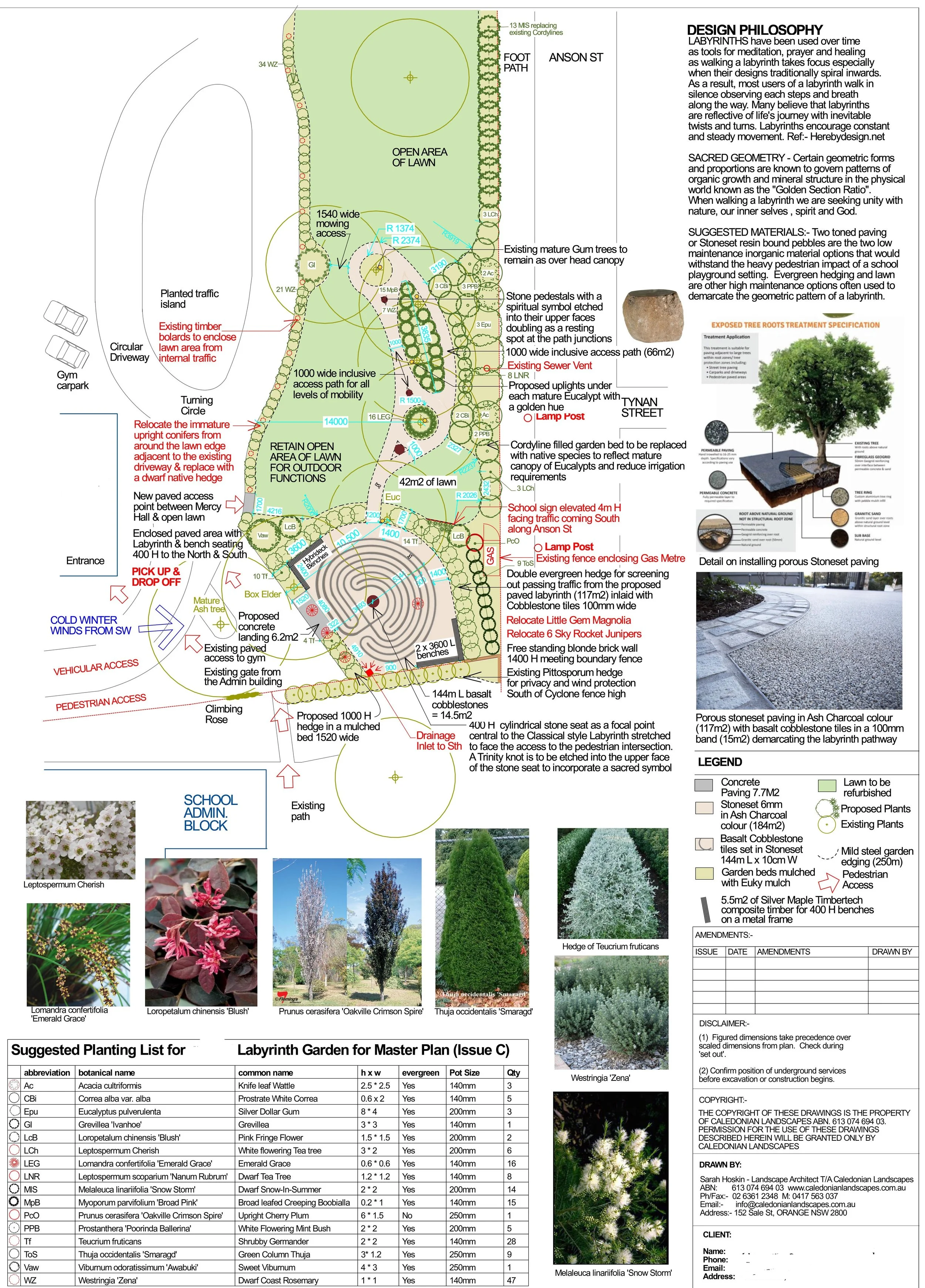 21-18 JSCHS Labyrinth Master Plan (C) cropped & nameless.jpg