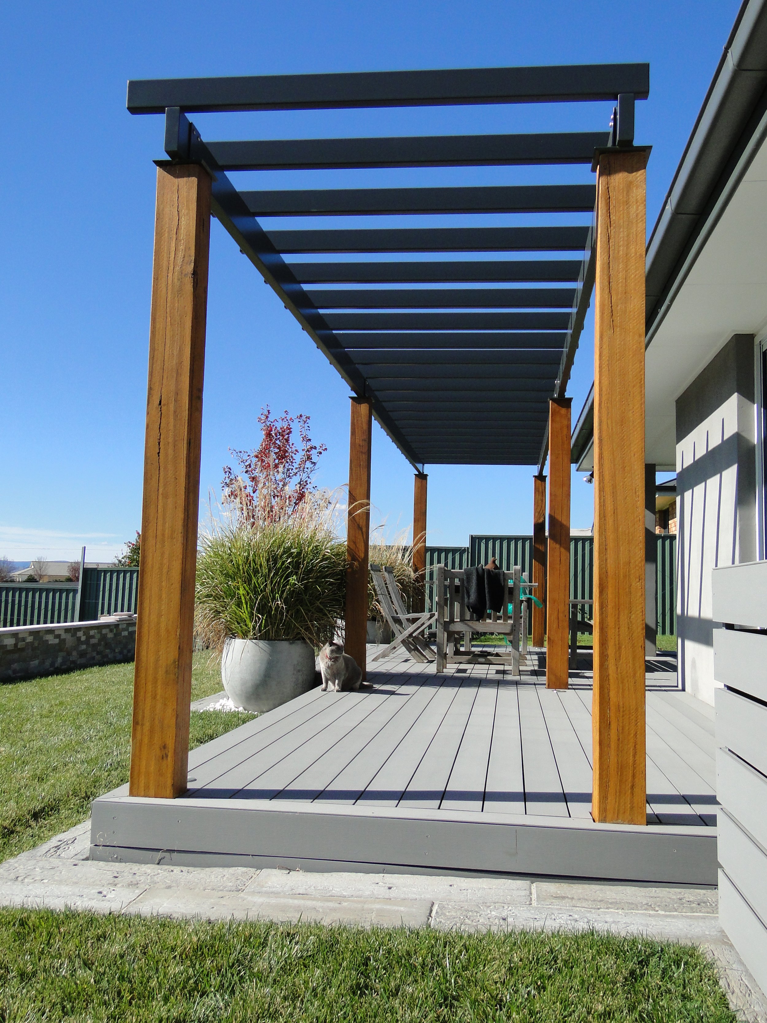 A modern outdoor pergola with a black metal roof and wooden posts over a gray deck, with a black and white cat sitting on the deck beside a large potted plant, in a backyard with grass, trees, a fence, and a neighboring house under a blue sky.