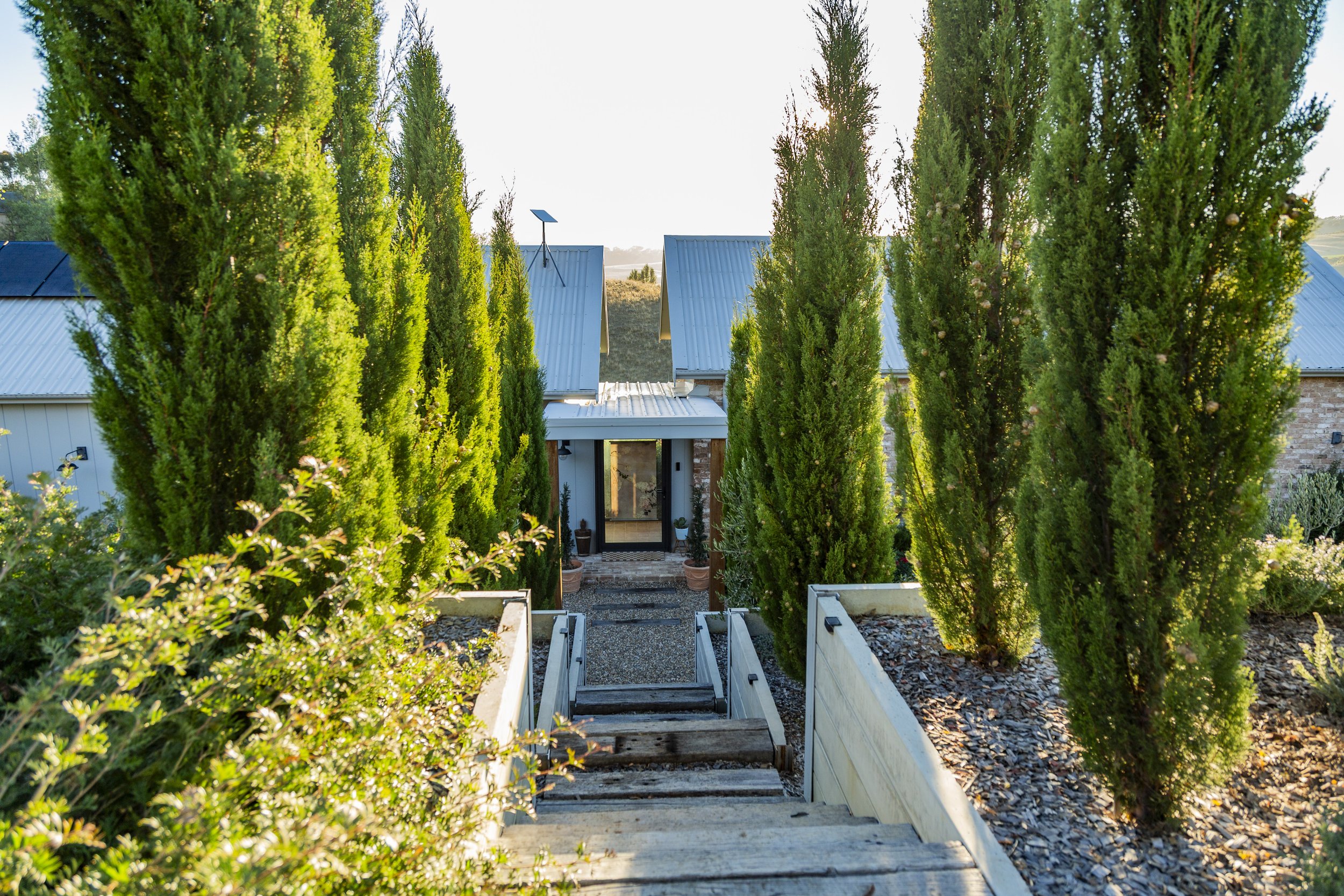 A view of a garden with a pathway leading down wooden stairs through tall, narrow green trees on each side, with a house and a solar panel visible in the background during sunset.