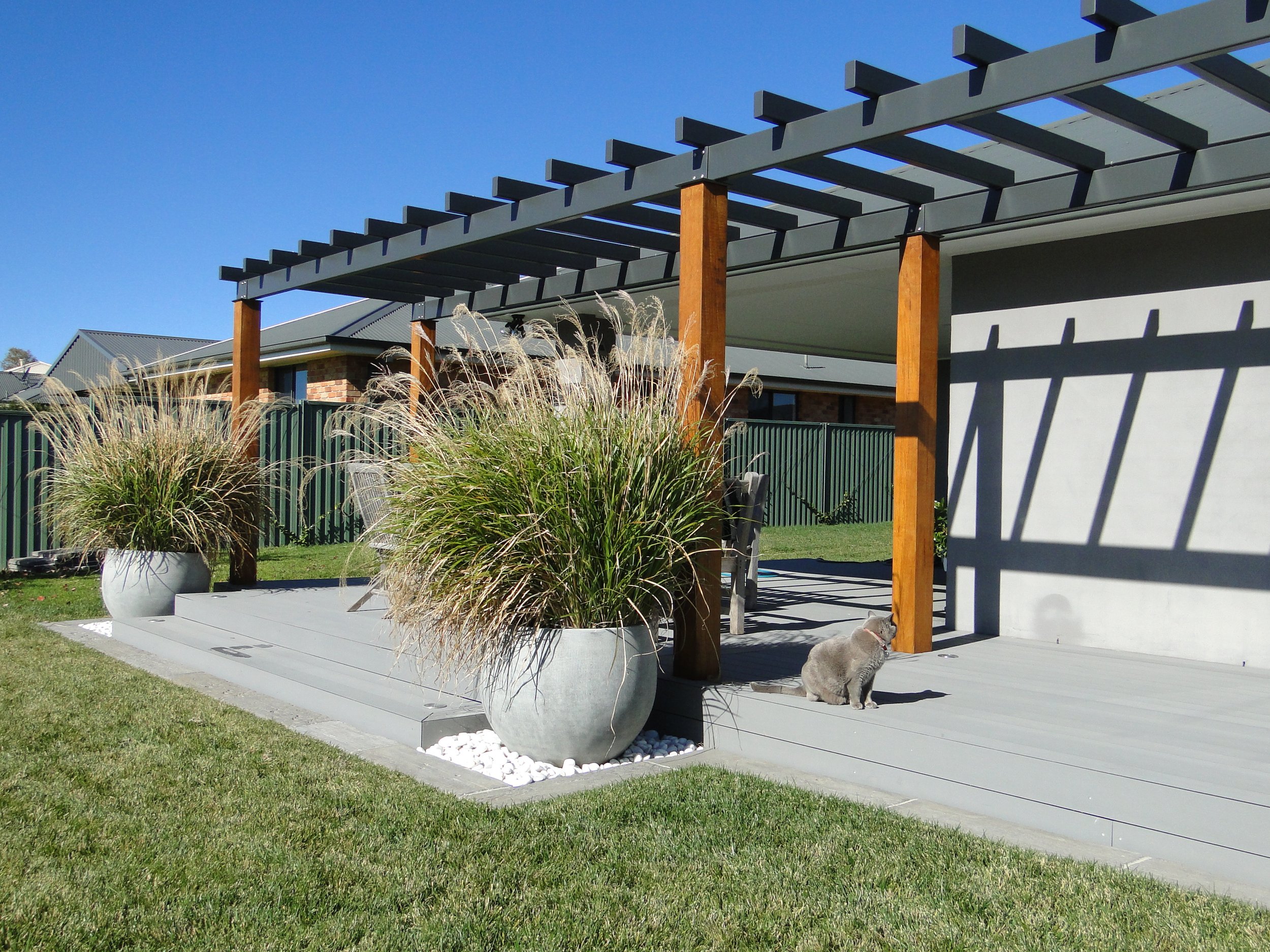 A backyard patio with potted plants, a wooden pergola, and a dog sitting on the concrete surface under the pergola, with houses and a bright blue sky in the background.