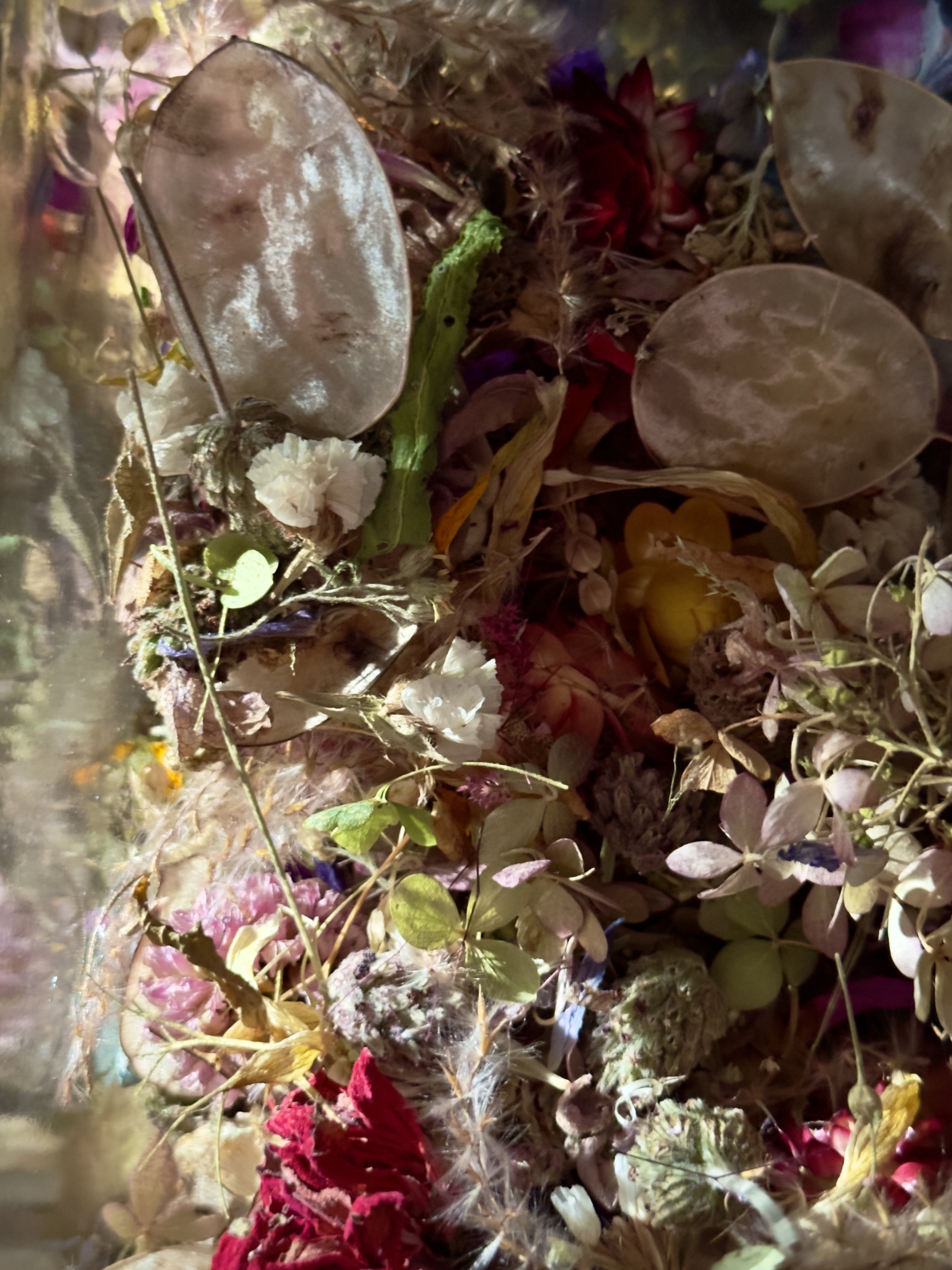 Dried Flower Confetti