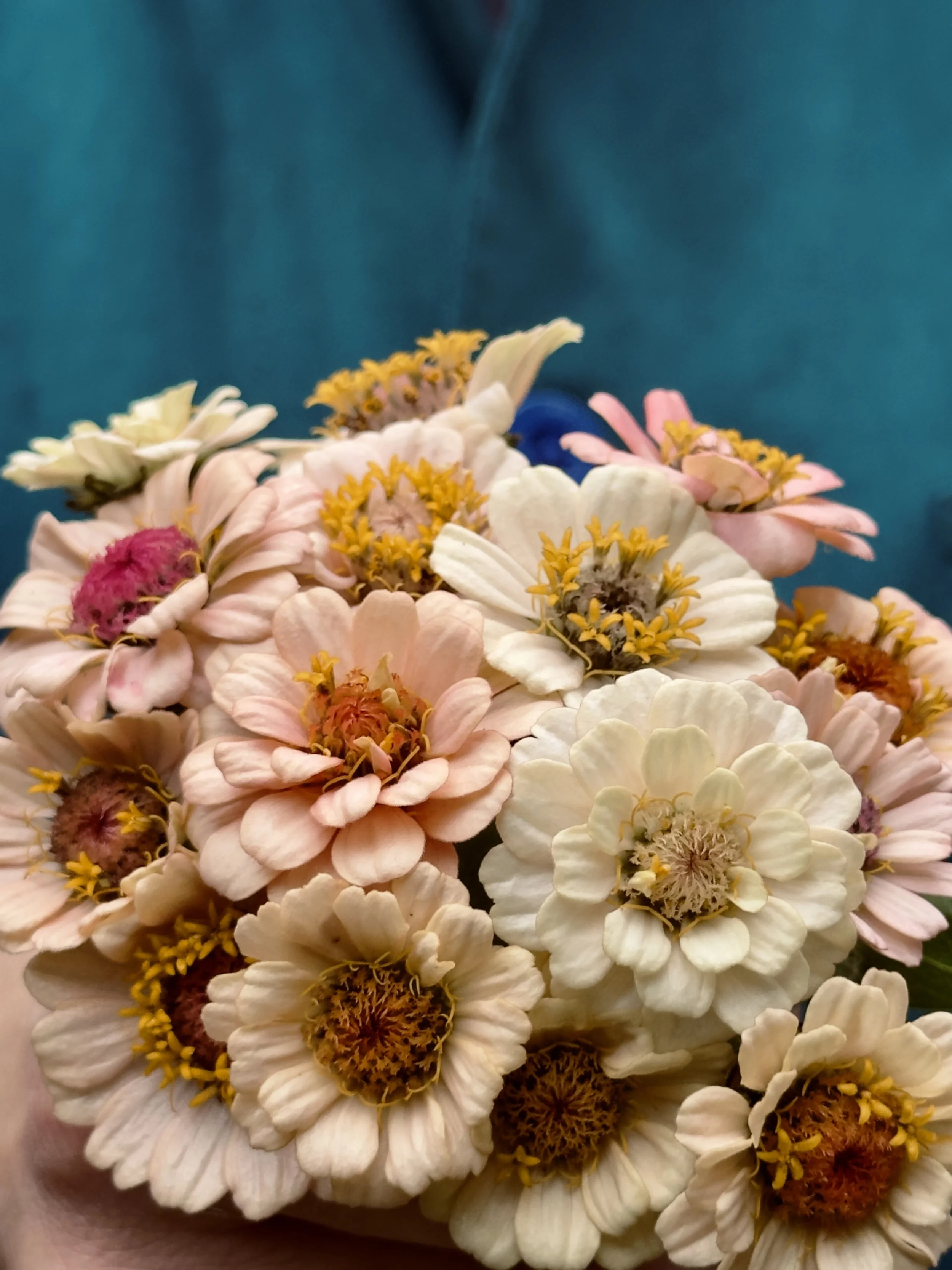 Today's Bouquets