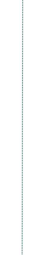 A vertical line separating Service icons on In-Tune Reflexology.