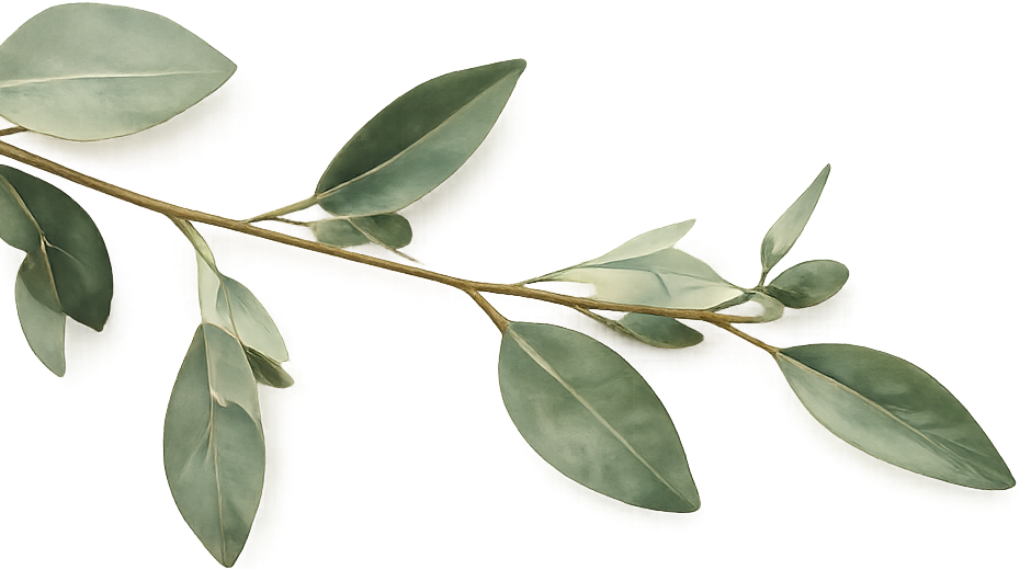 A branch with multiple green, oval-shaped leaves.