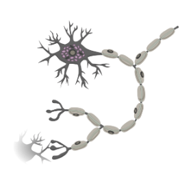 A reflexology session at In-Tune Reflexology with Ruth Blair may assist with stress & Anxiety by calming the nervous system and promoting deep relaxation.