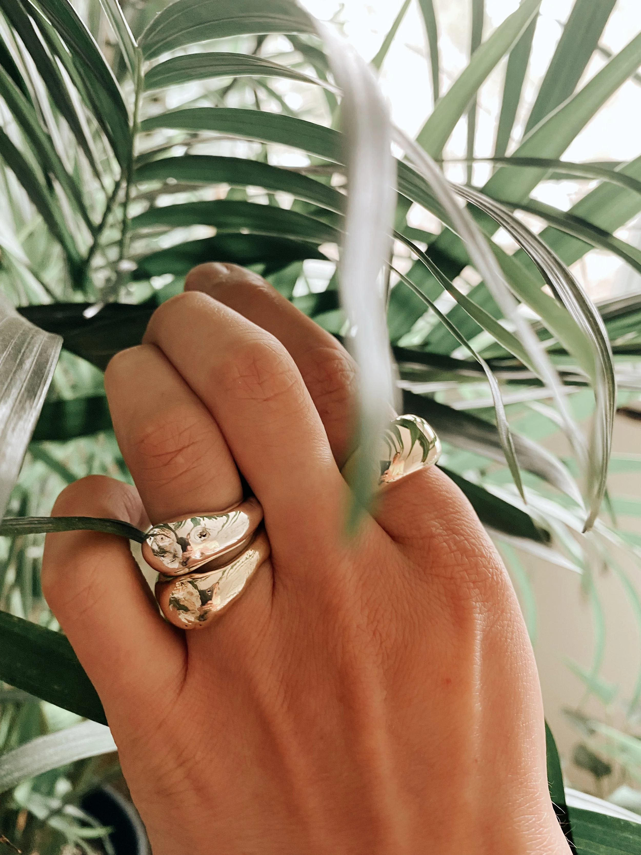ogema-rings.jpg