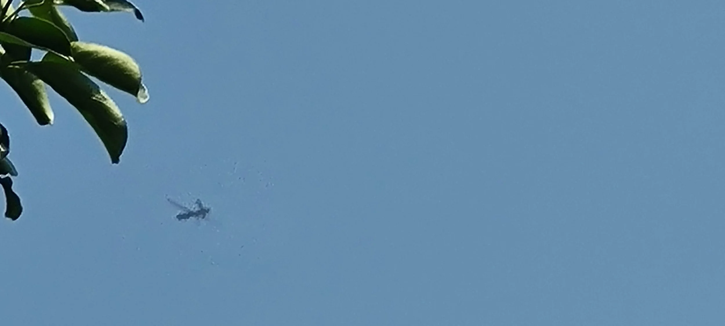 Taiwan and the AI Battlespace | Part 4: Drones