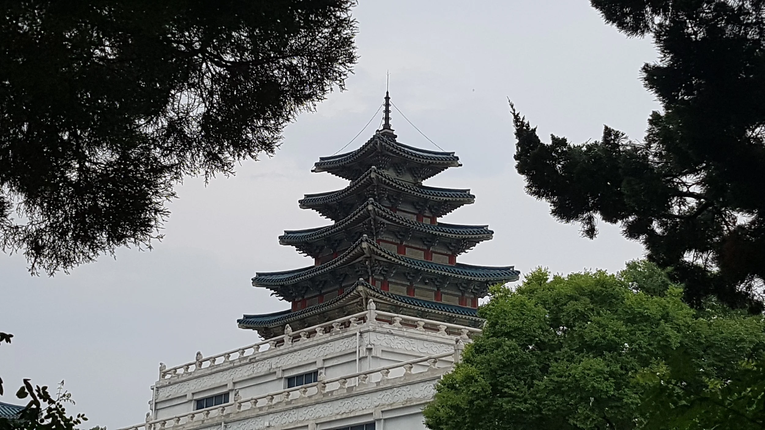 20170709_173649.jpg
