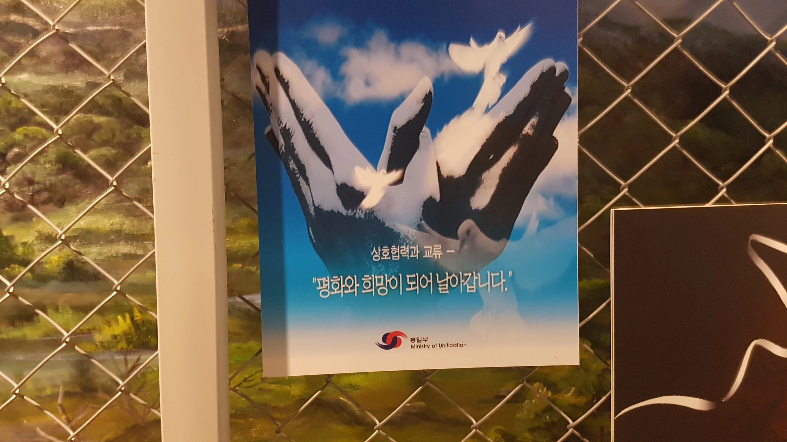 20170708_123125.jpg