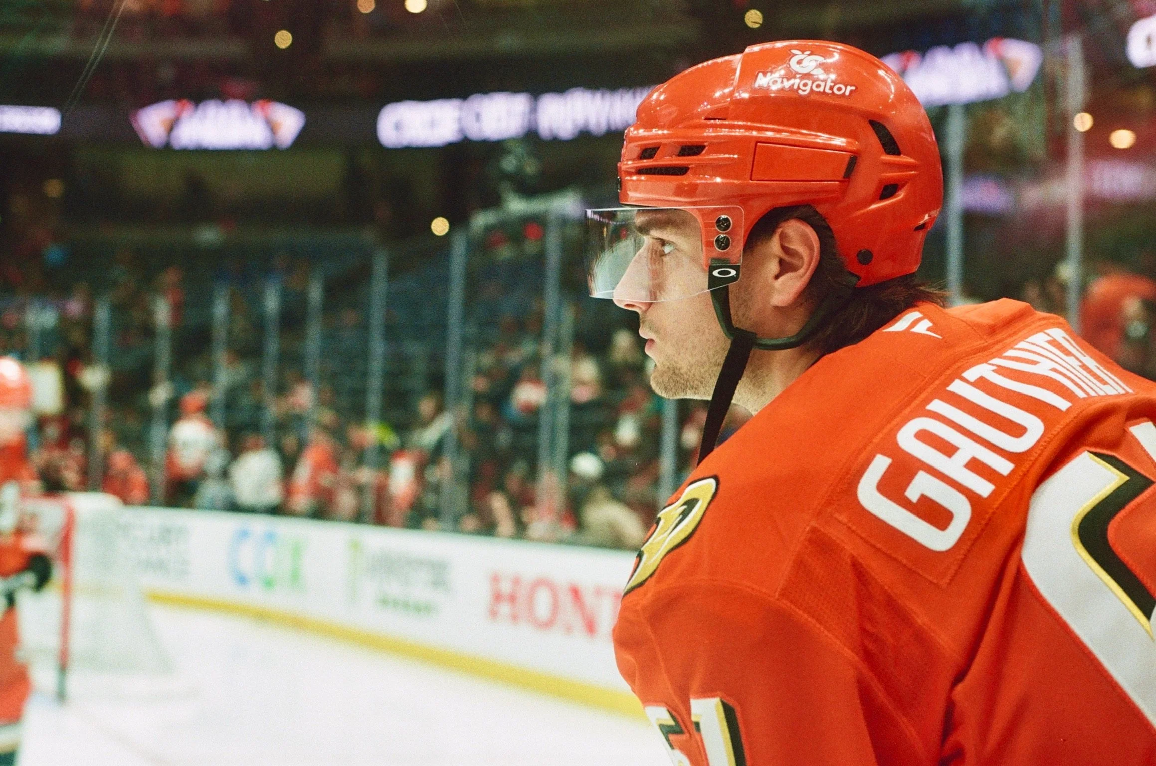 A hockey player in a red jersey and helmet with a clear face shield, looking to the left during a game. The background shows spectators and illuminated signs.