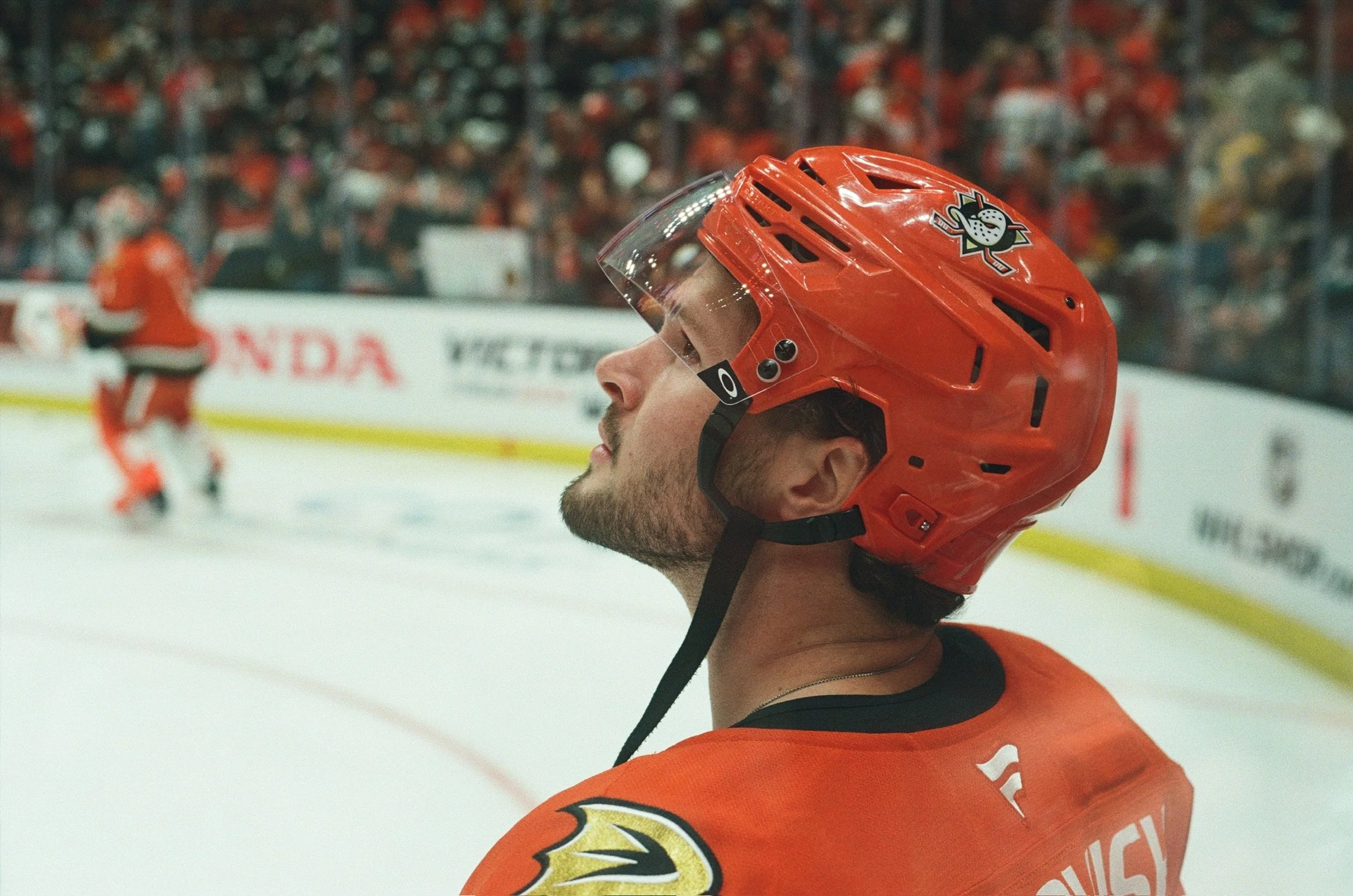 Close-up of a hockey player wearing an orange helmet with a hockey team logo, on the ice during a game with a crowd in the background.