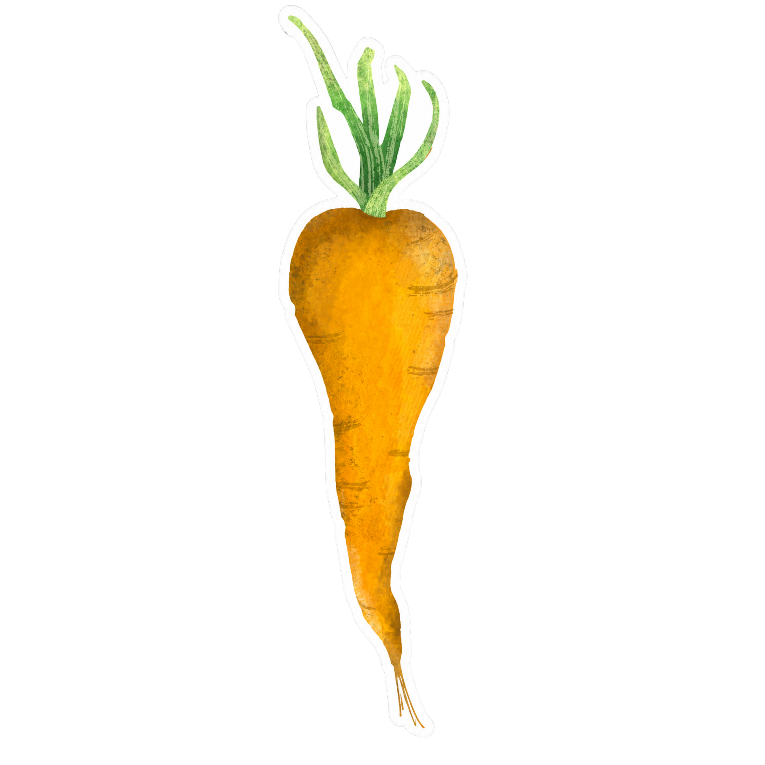 Carrot sticker