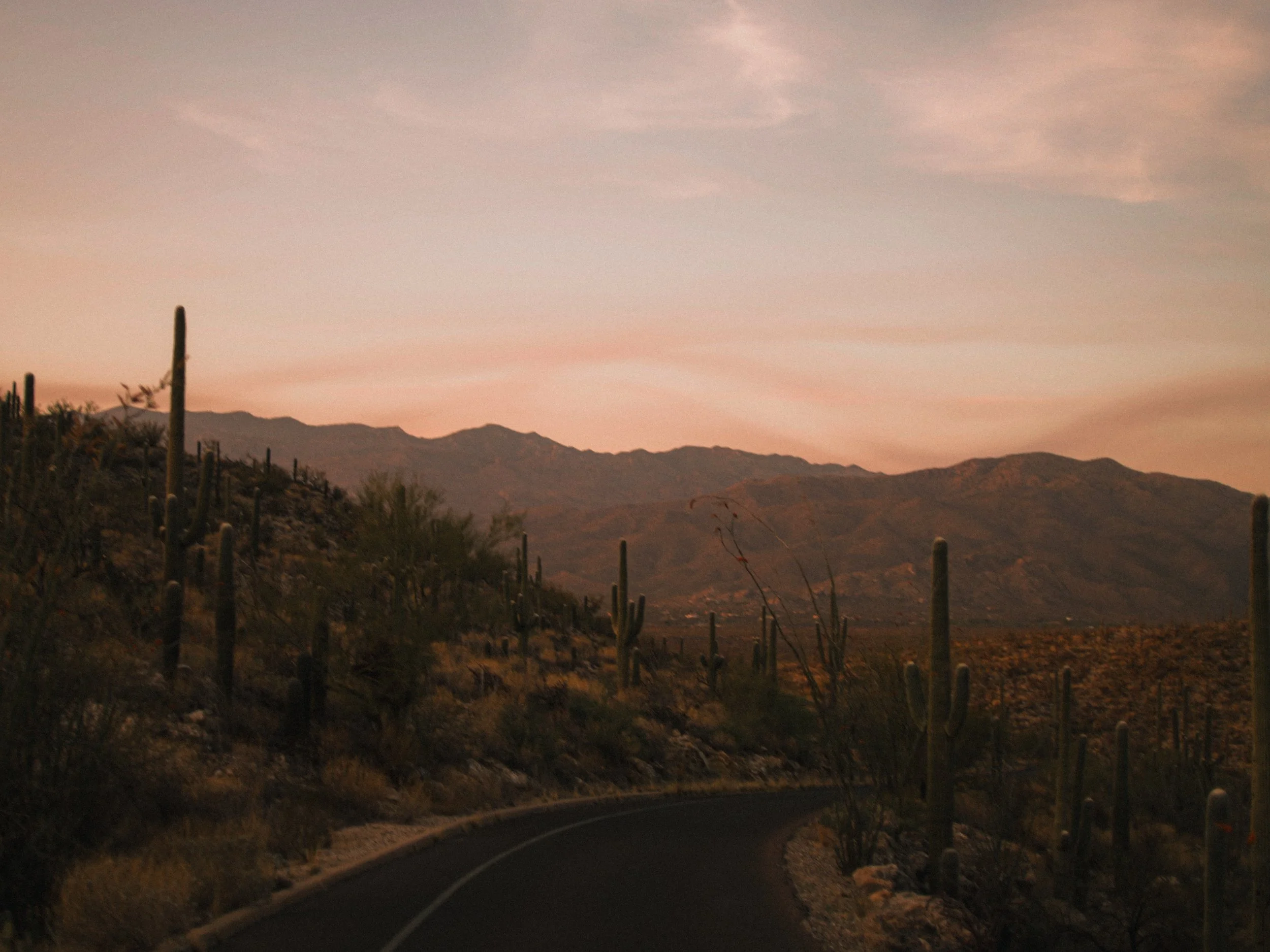 _L3N8282.JPG