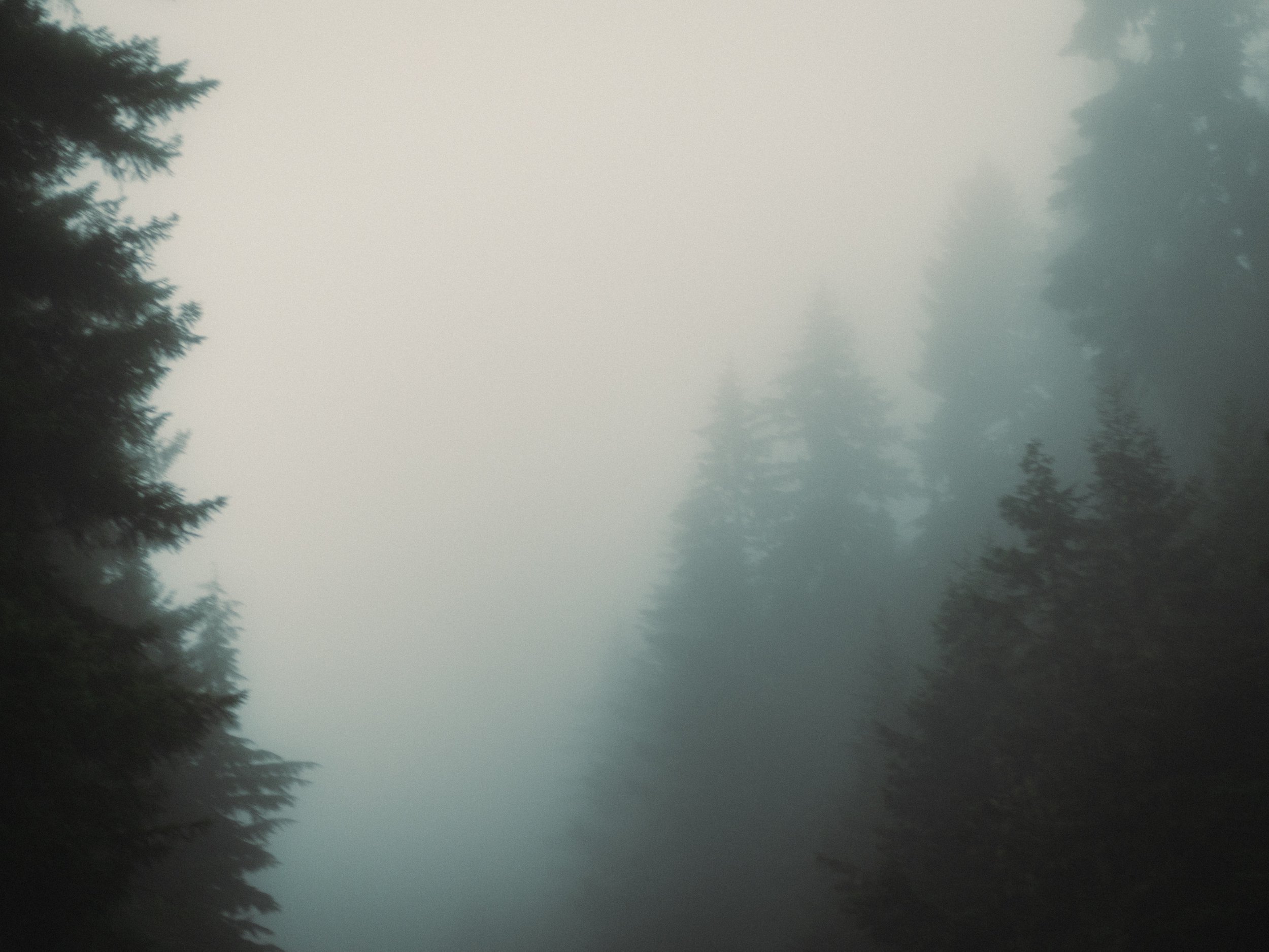 _L3N9732.JPG