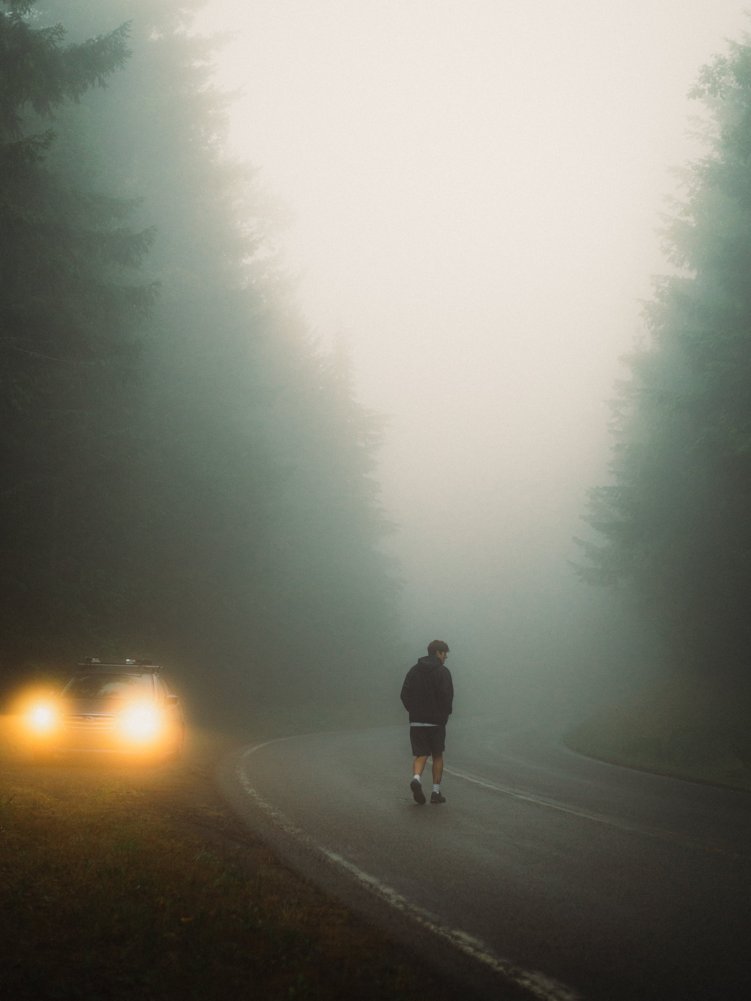 _L3N9762.JPG